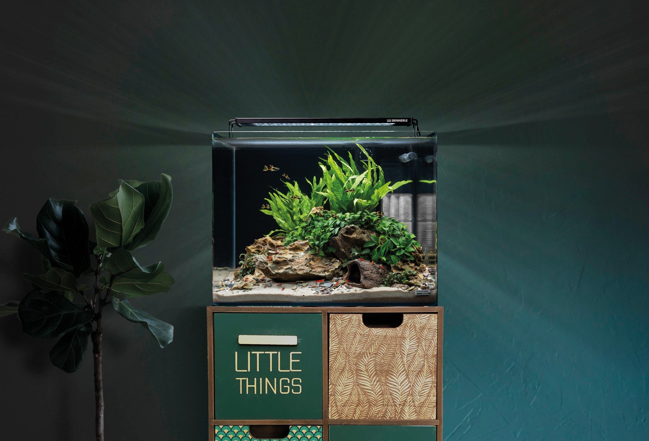 Budget and DIY ideas that are safe