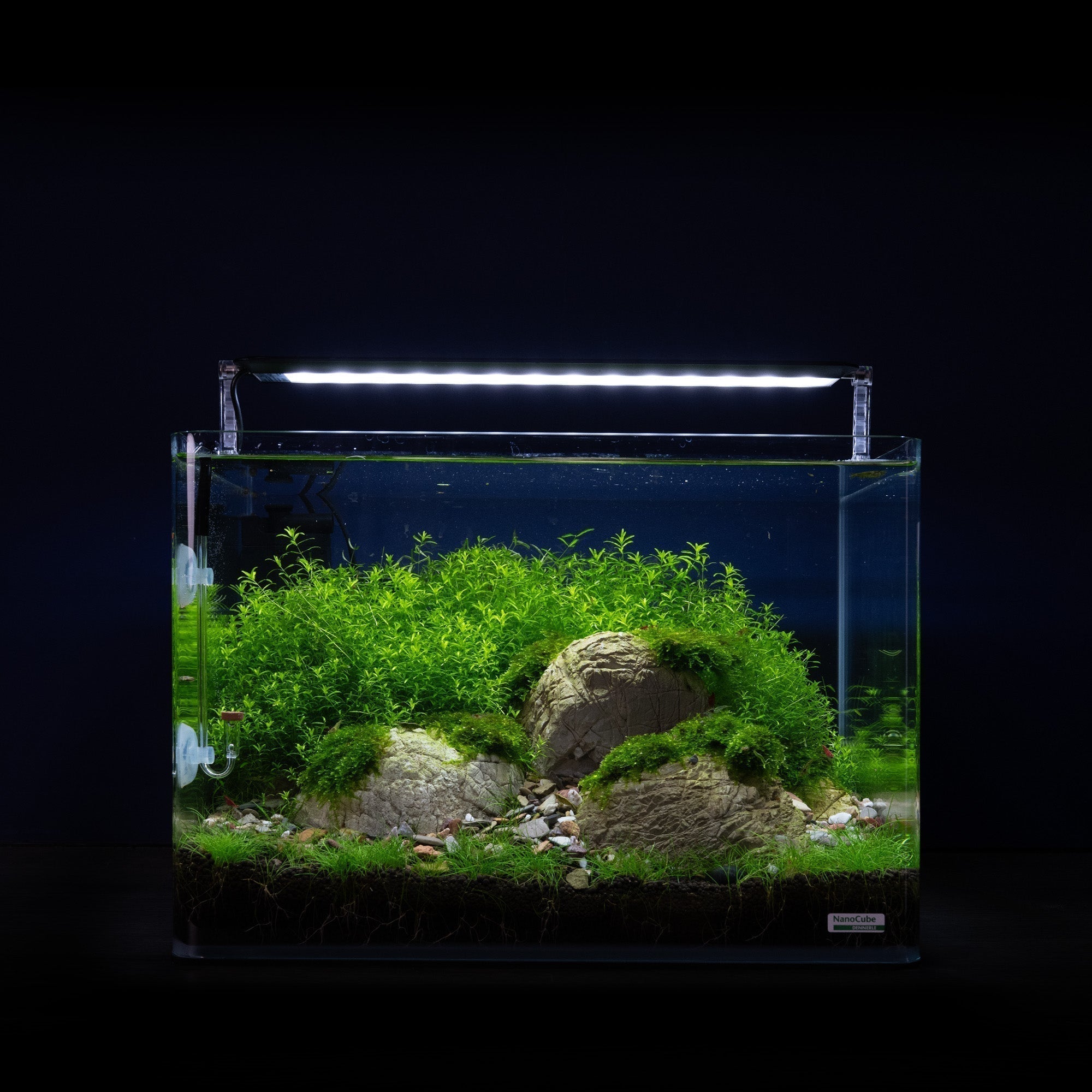 Dennerle Green Rocks - Aquarium nach Rezept