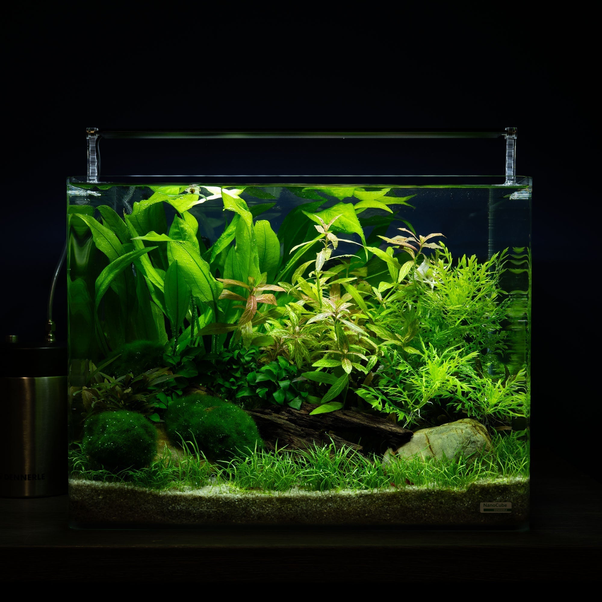 Dennerle Basic Planted - Aquarium nach Rezept