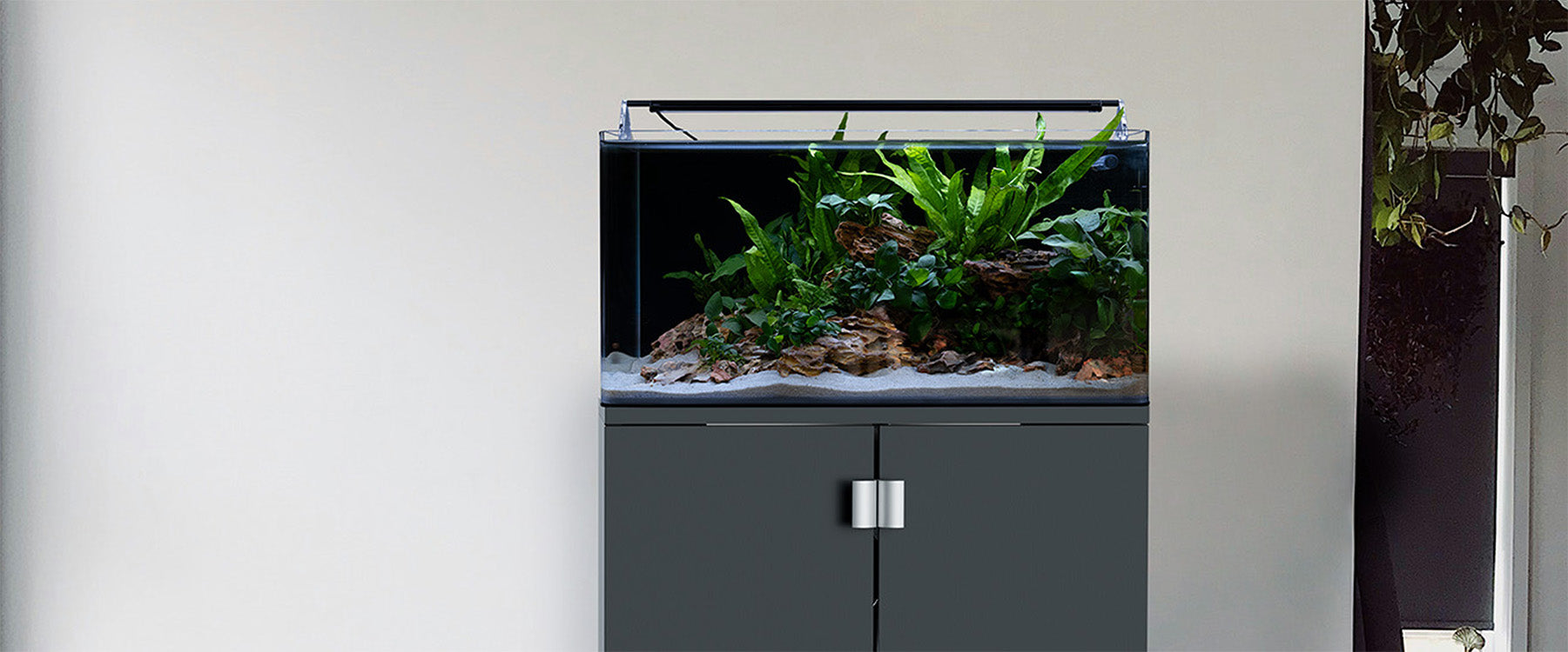 Neu im Dennerle Shop: Aquarienschränke für Nano Cube und Nano Tank
