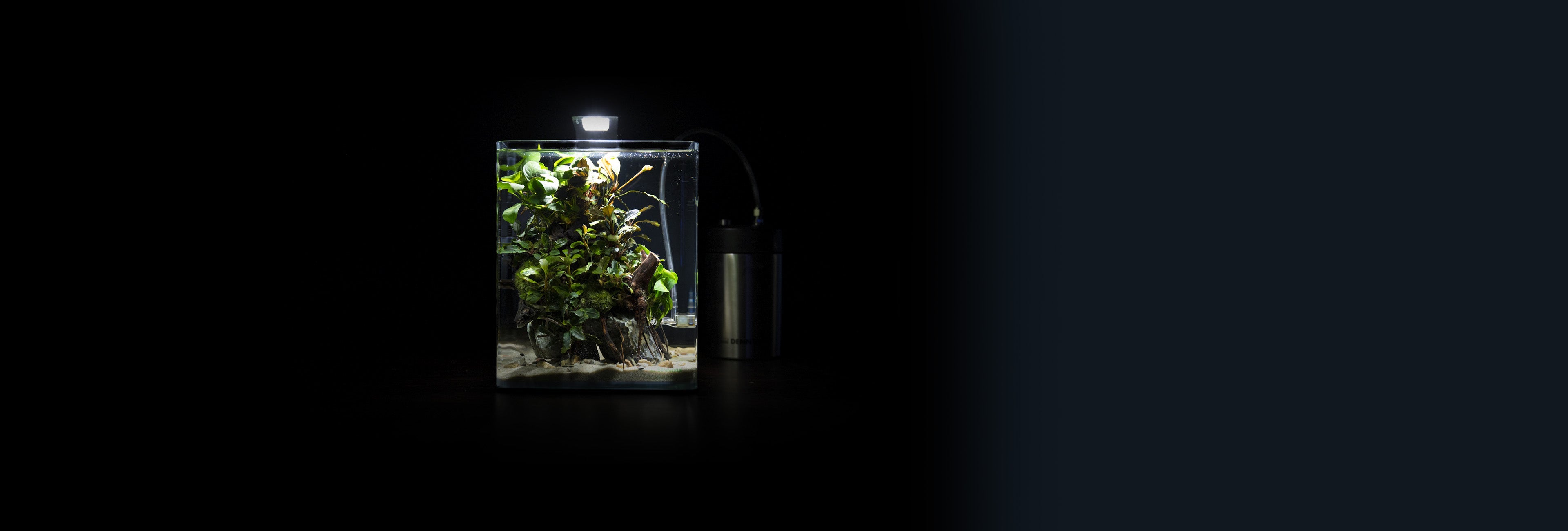 Kleine Aquarien