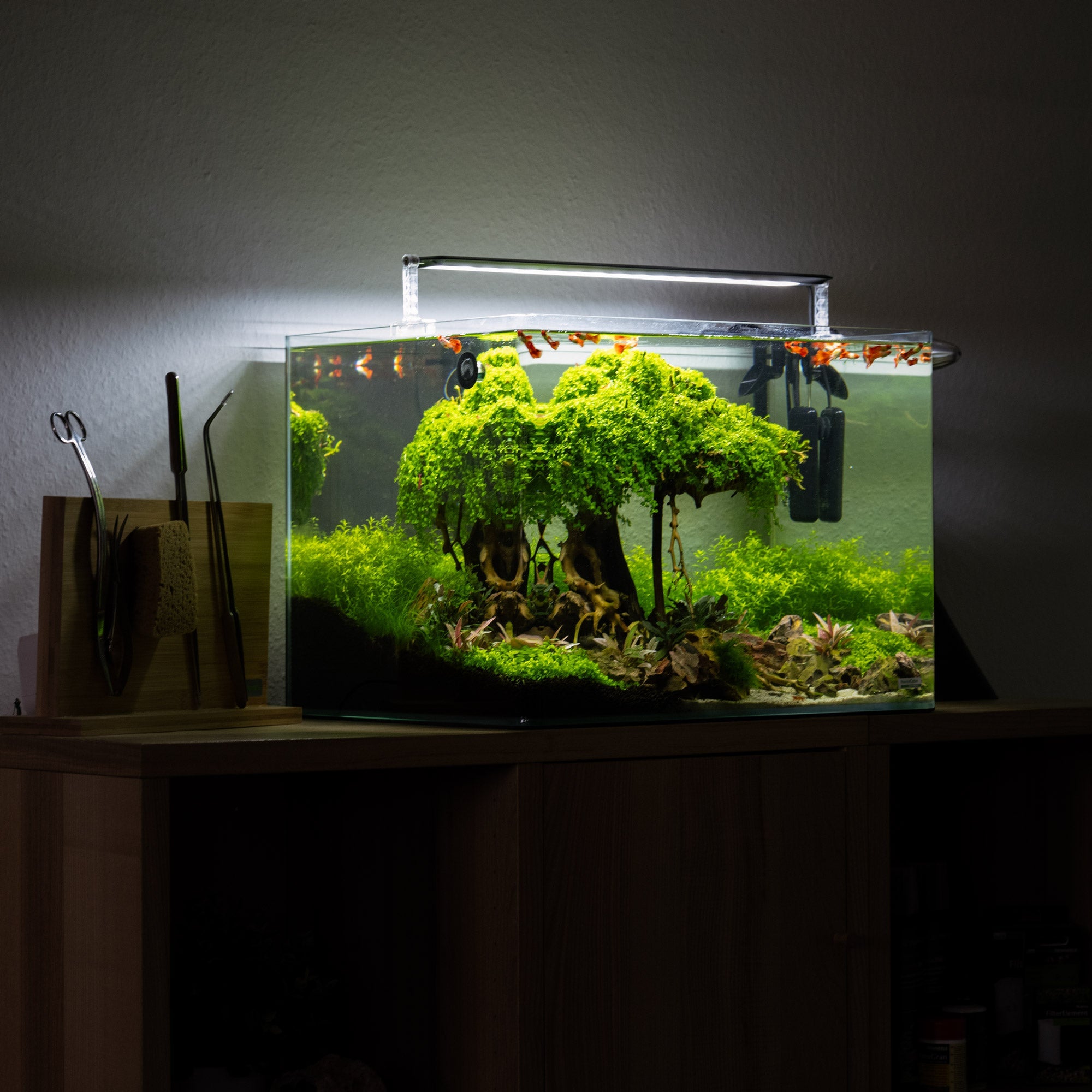 Hardscape Aquarium