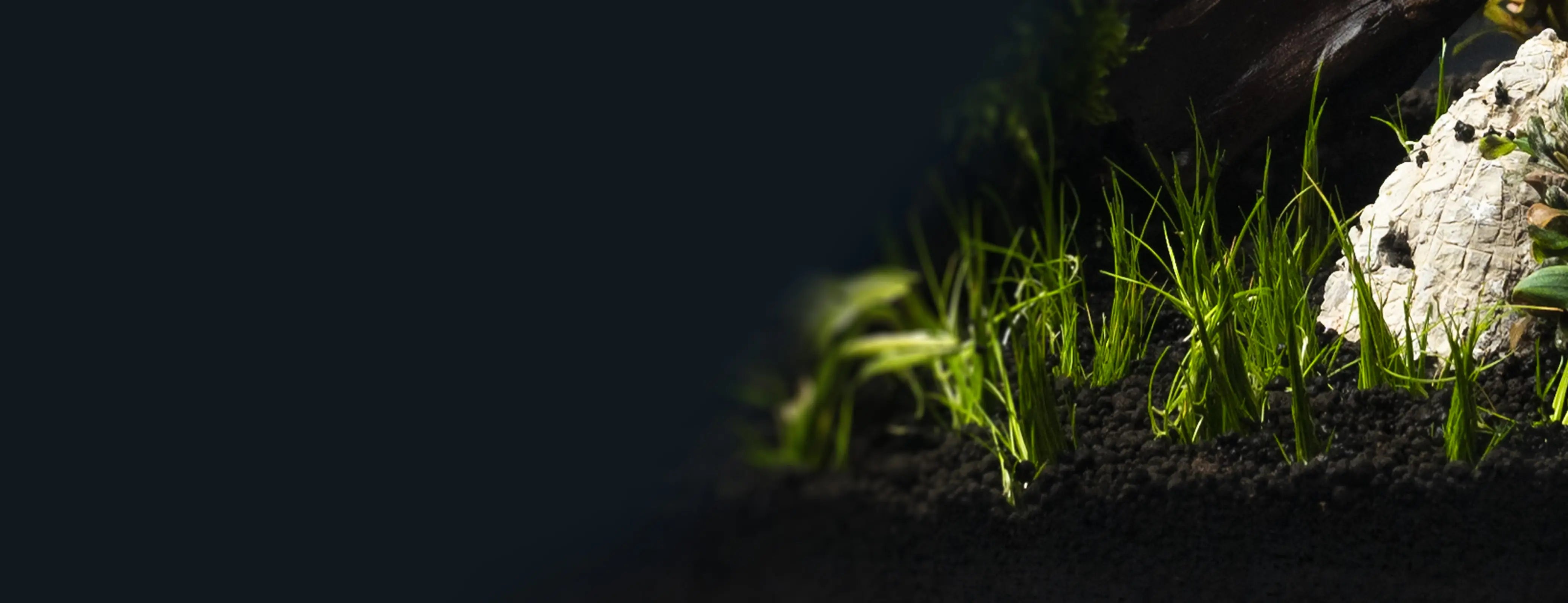 Aquarium Soil