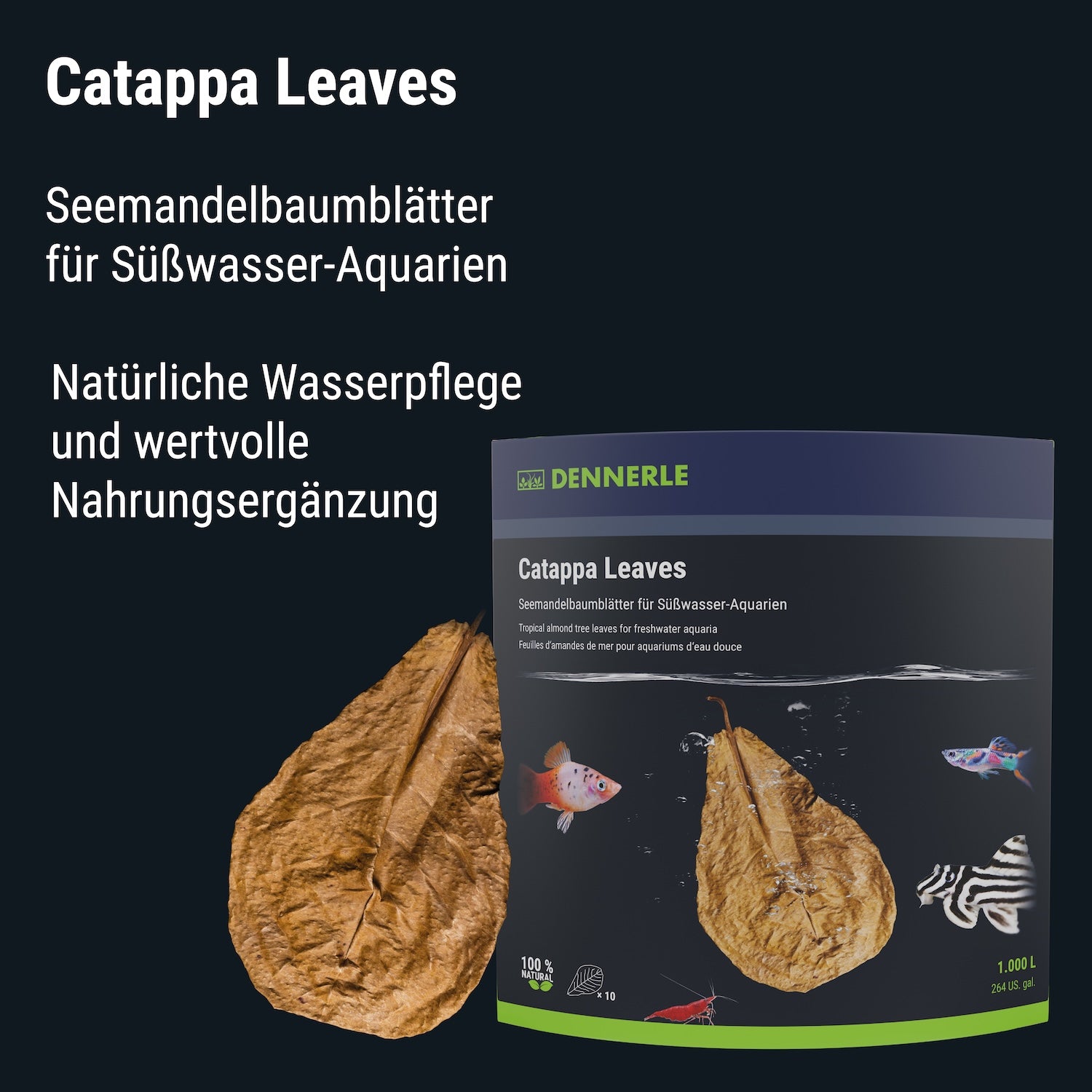 Dennerle Catappa Leaves