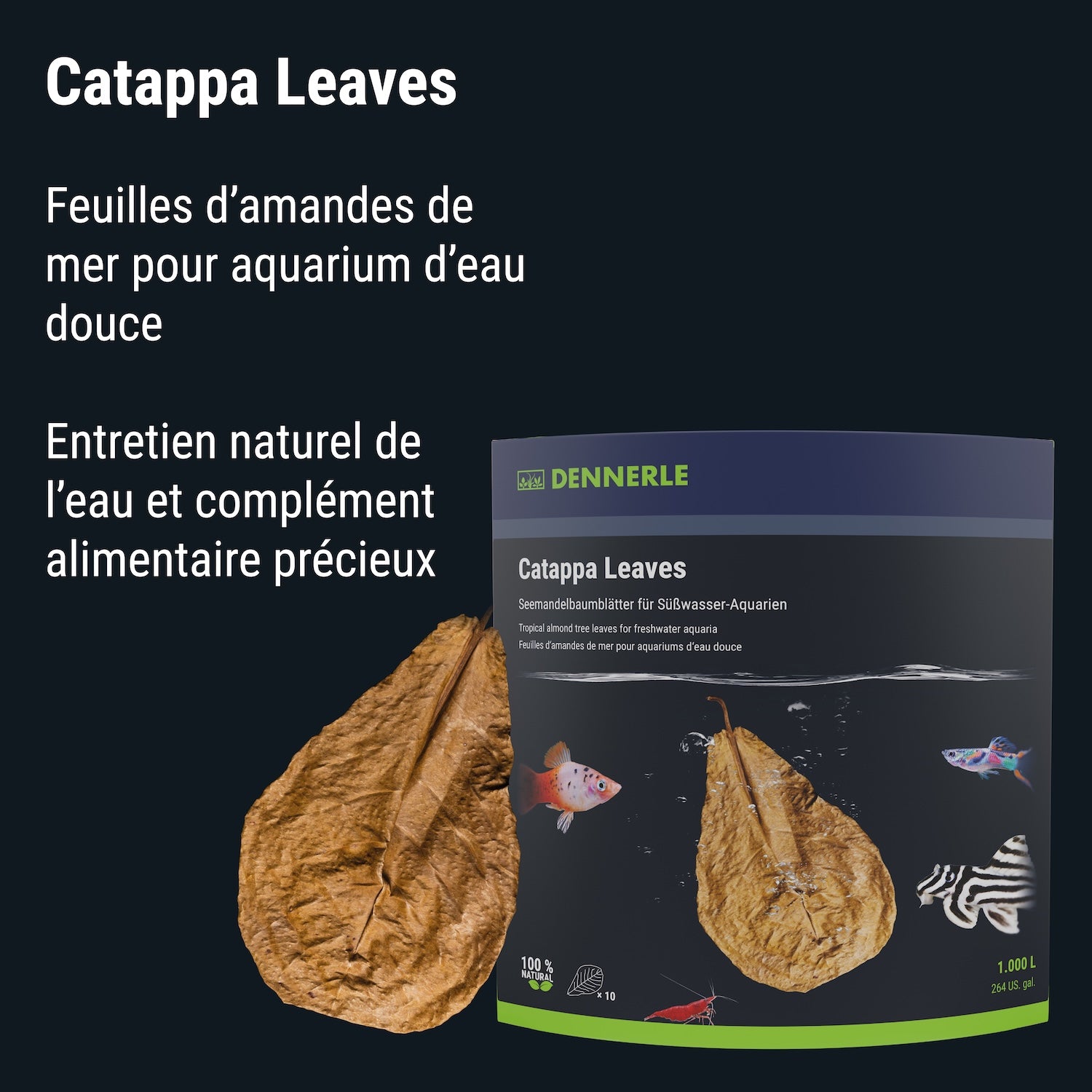 Dennerle Catappa Leaves#fr:taille_regulier