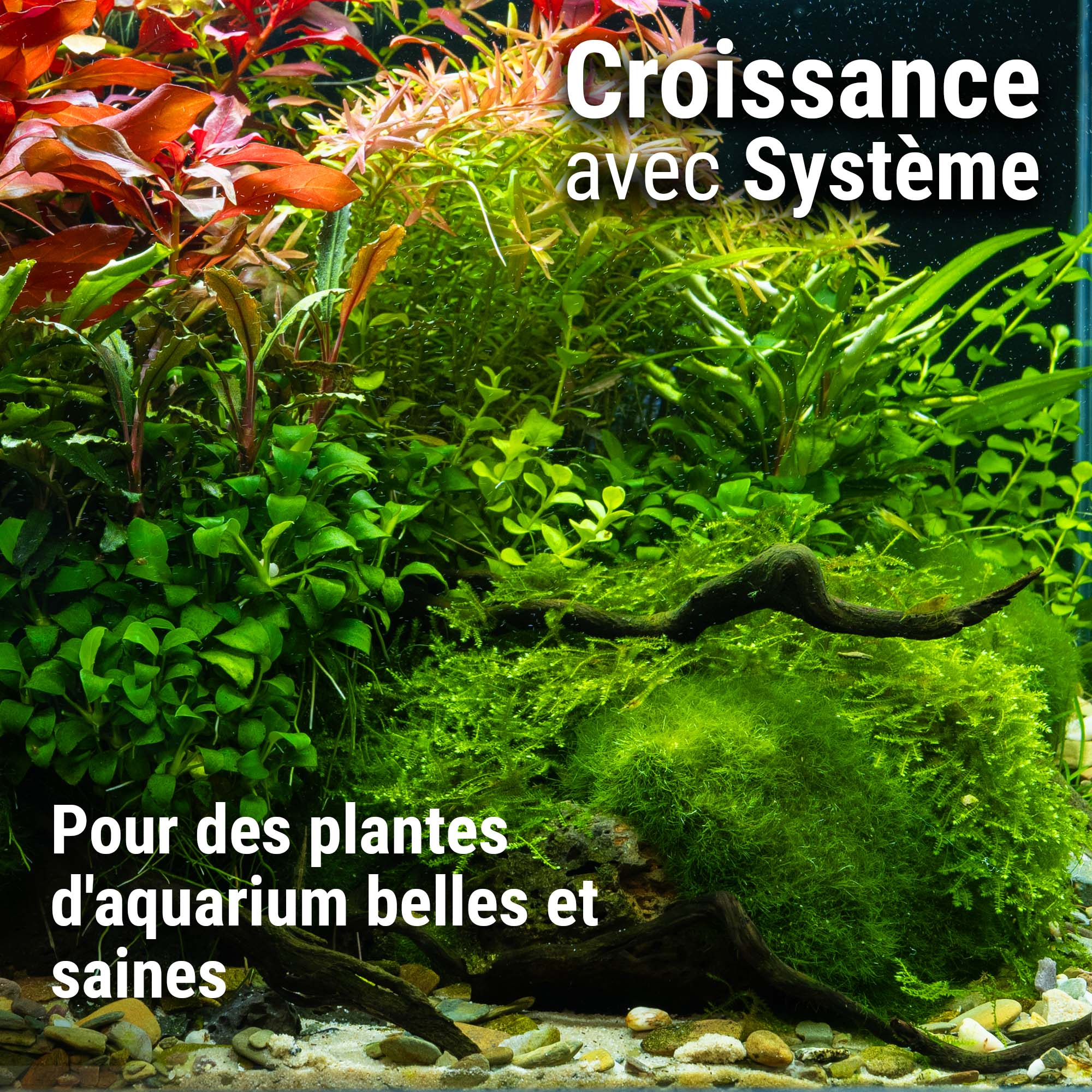 #fr:Plant System Set Nano