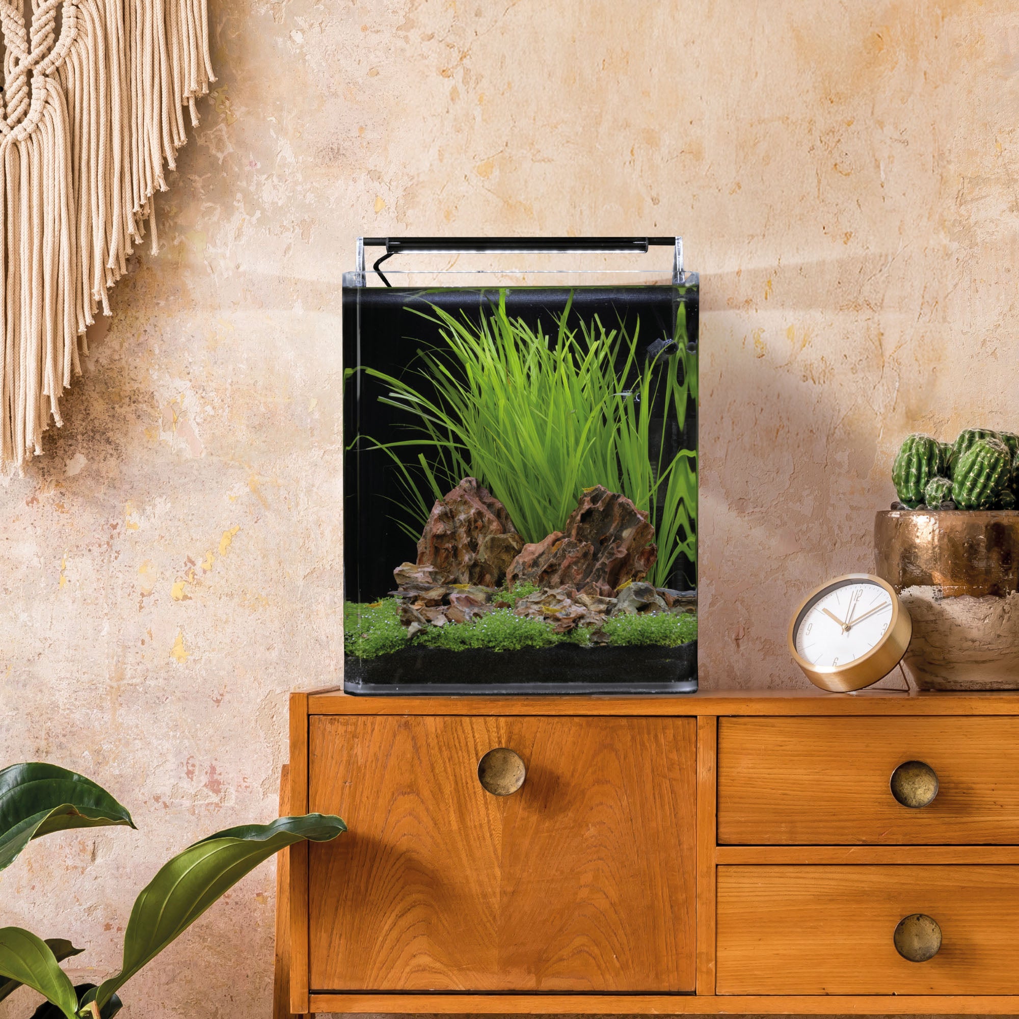 Dennerle Nano Cube Complete