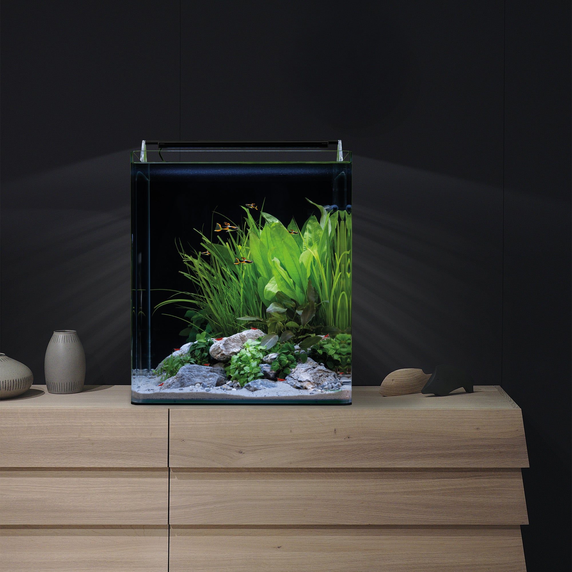 Dennerle Nano Cube Complete