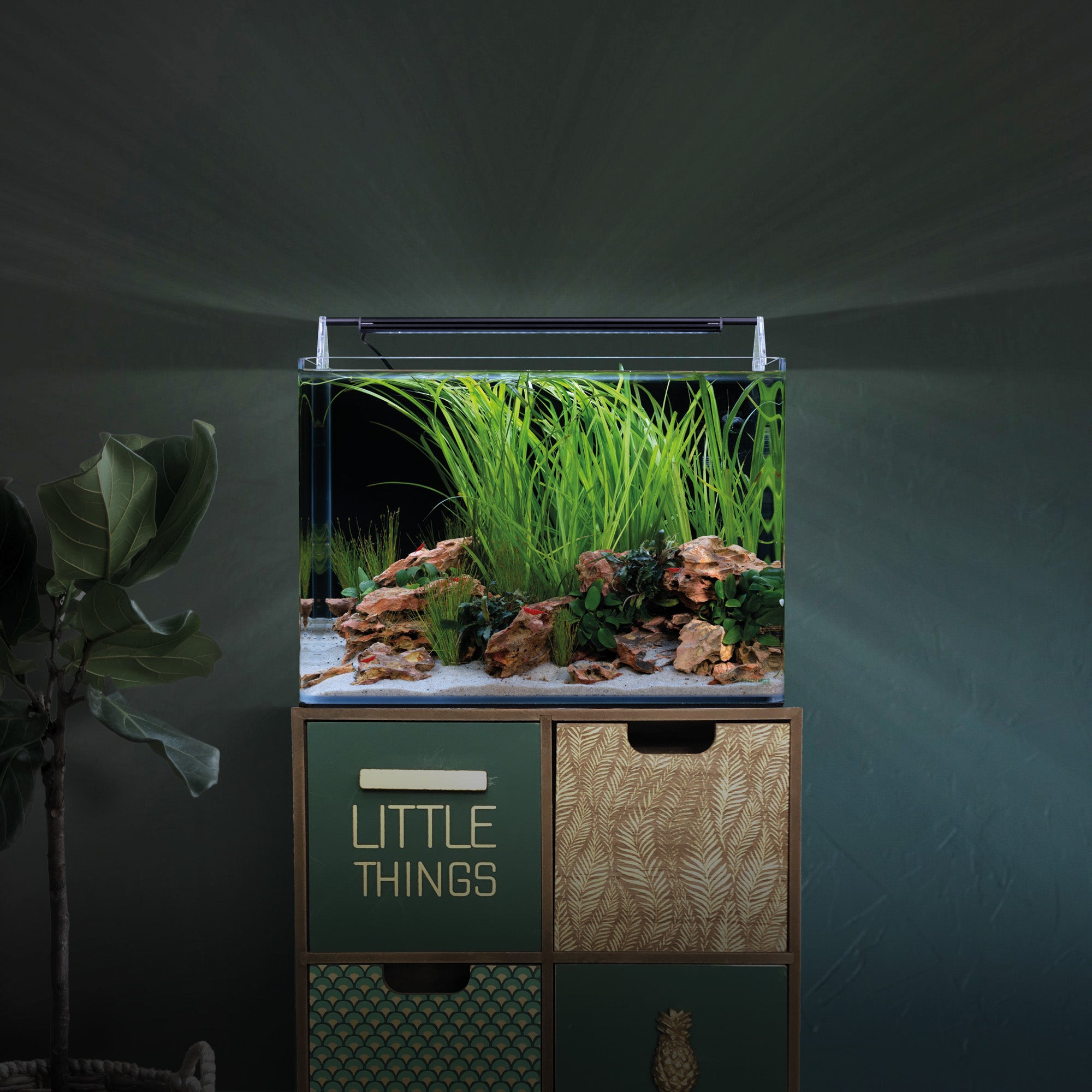 Dennerle Nano Tank Basic