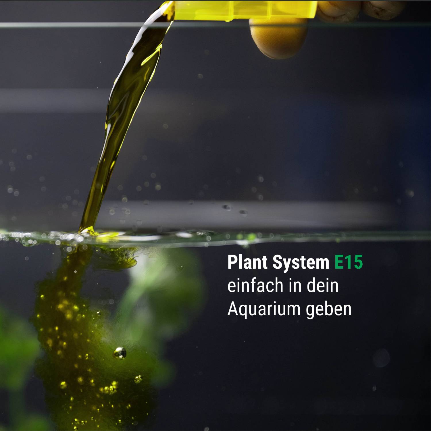 Dennerle Plant System E15, 100 ml