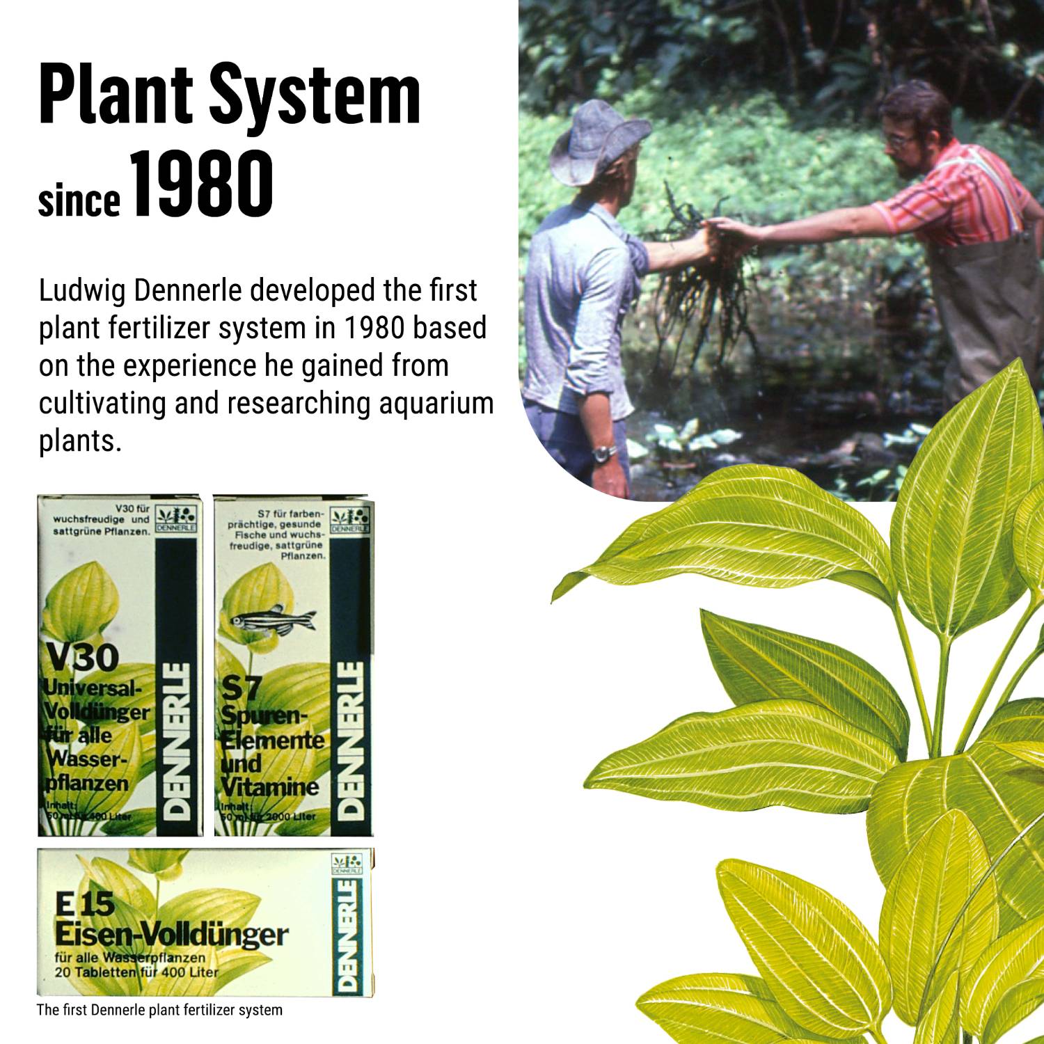 Dennerle Plant System E15, 100 ml#en:size_100-ml