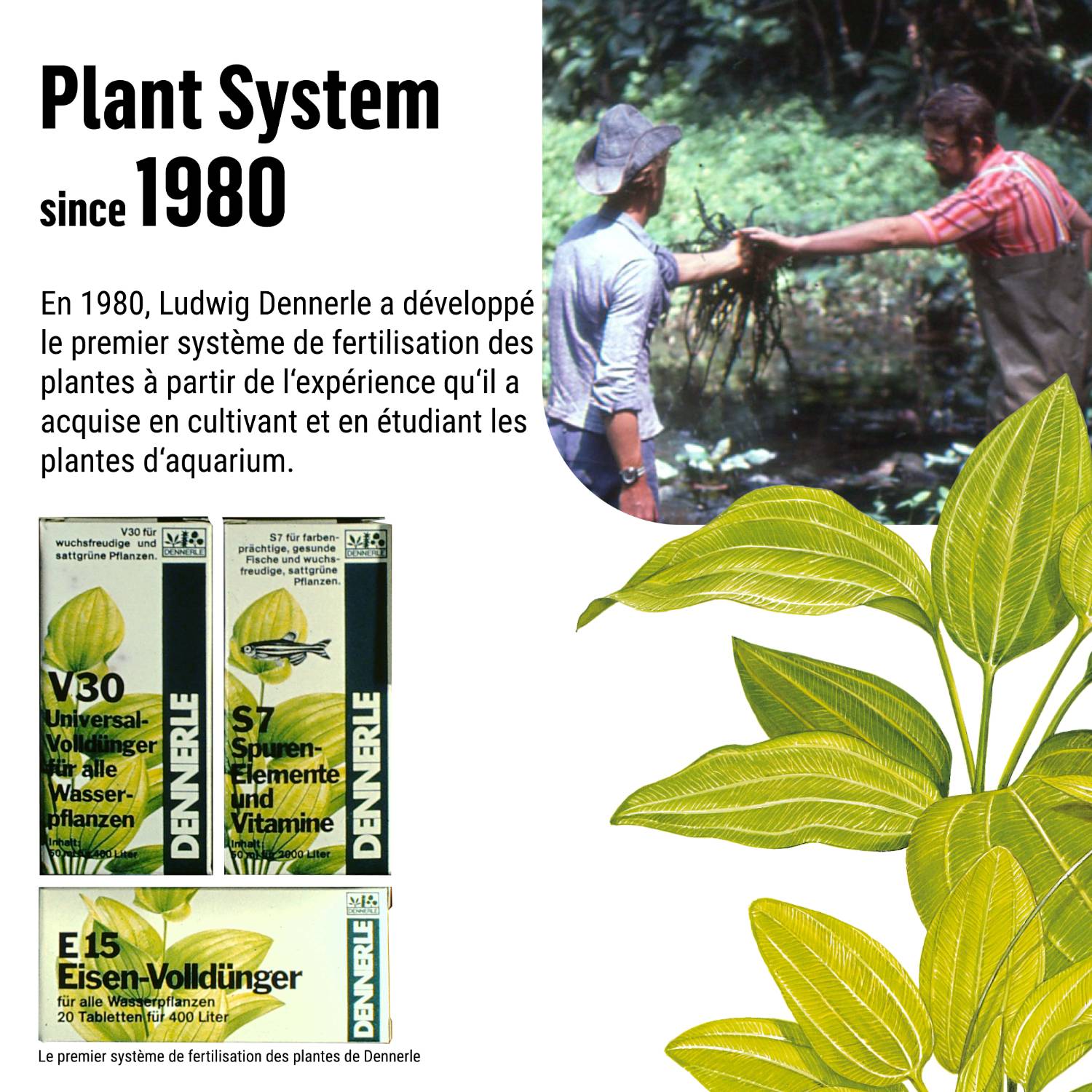 Dennerle Plant System E15, 100 ml#fr:taille_100-ml