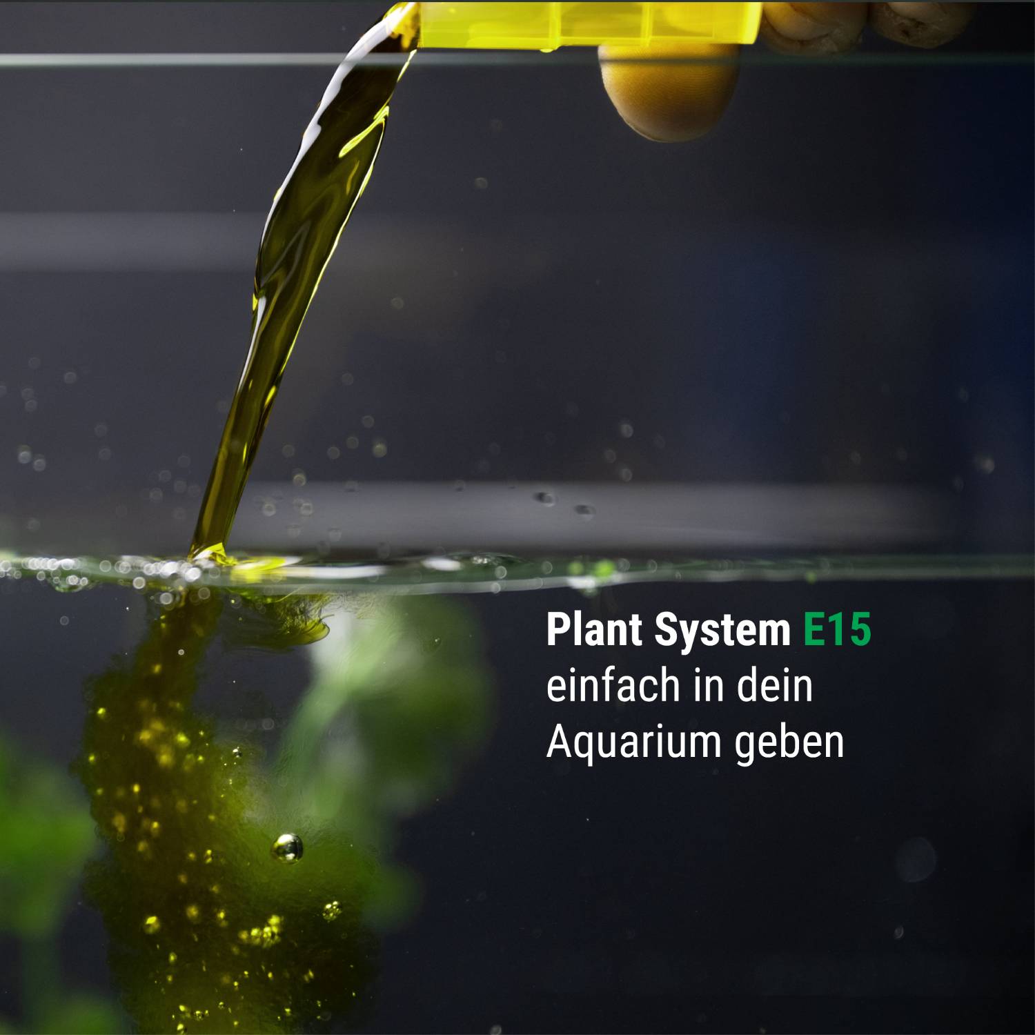Dennerle Plant System E15, 250 ml