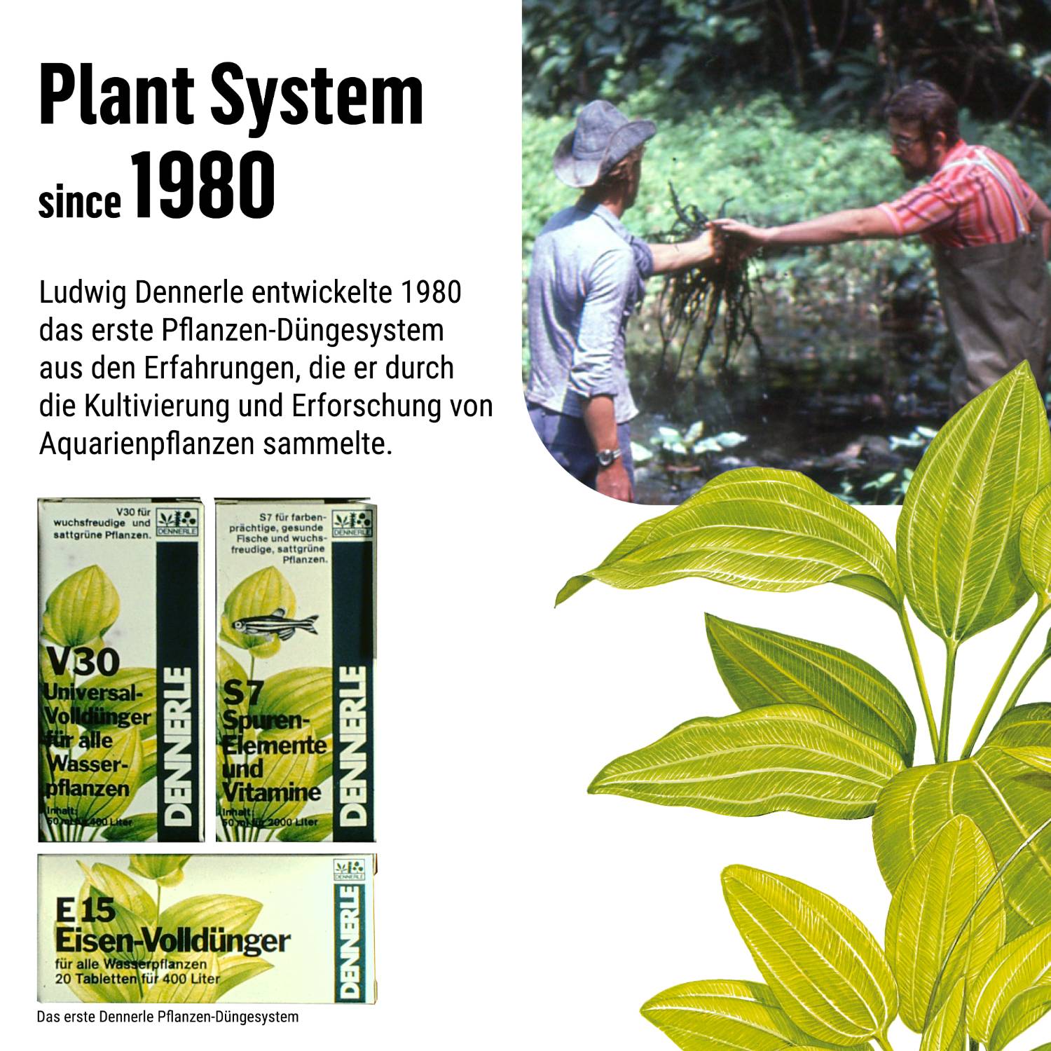 Dennerle Plant System E15, 250 ml