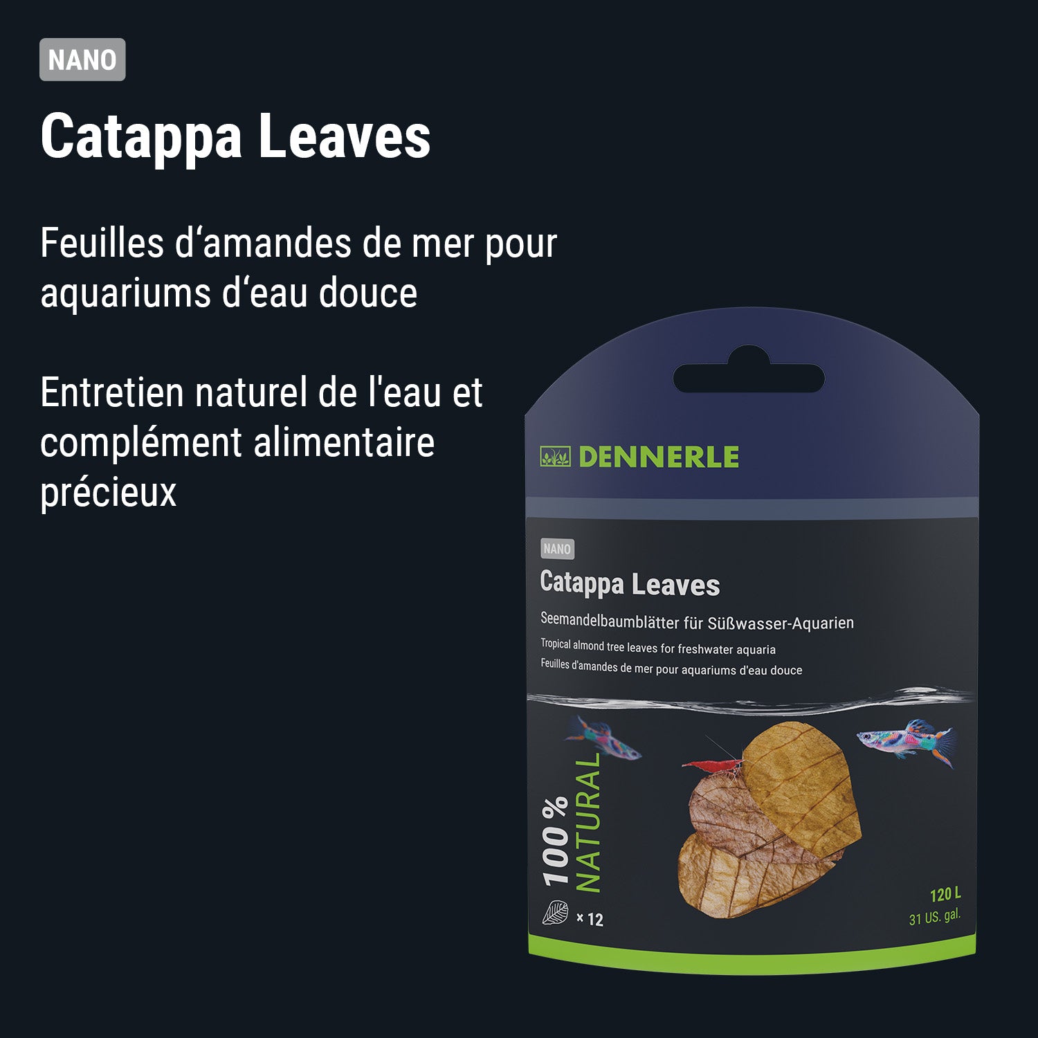 Dennerle Nano Catappa Leaves#fr:taille_nano