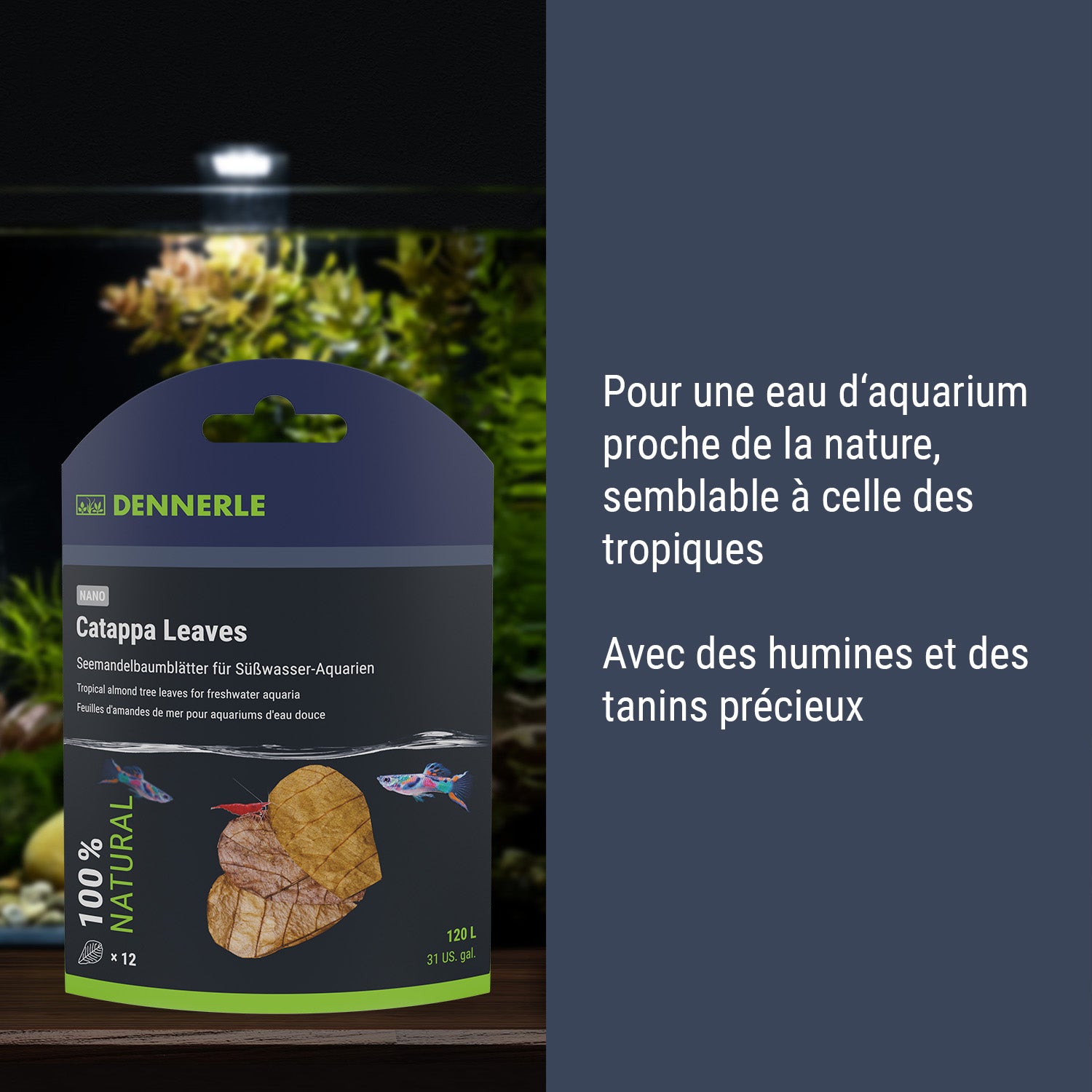 Dennerle Nano Catappa Leaves#fr:taille_nano