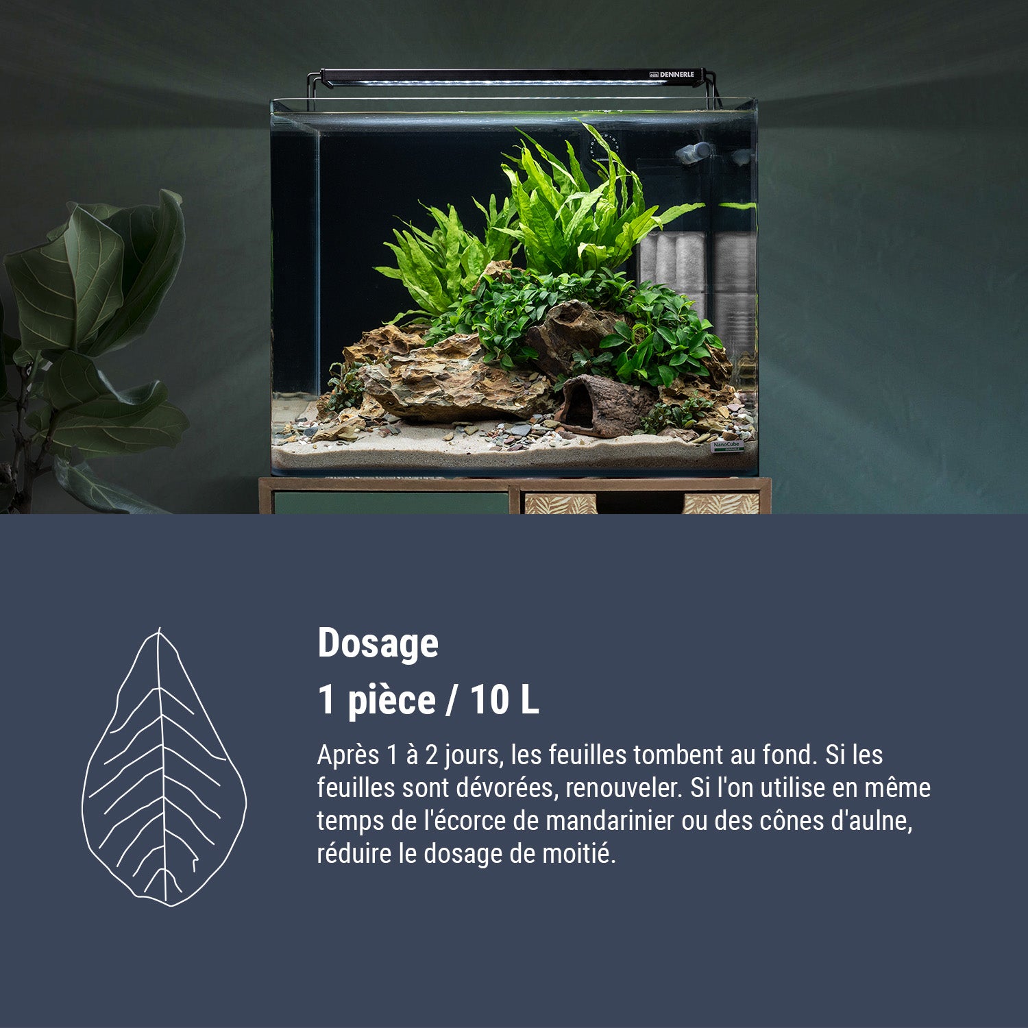 Dennerle Nano Catappa Leaves#fr:taille_nano