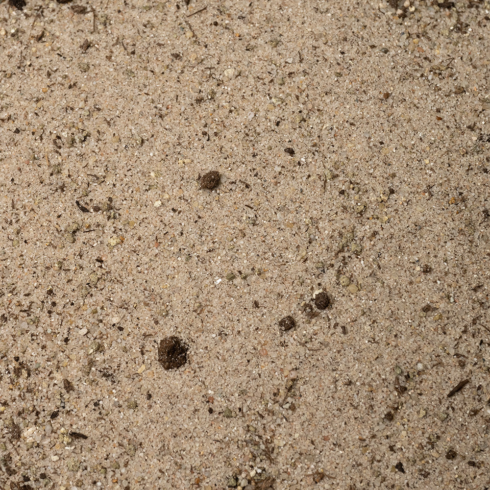 Dennerle Nutri Basis