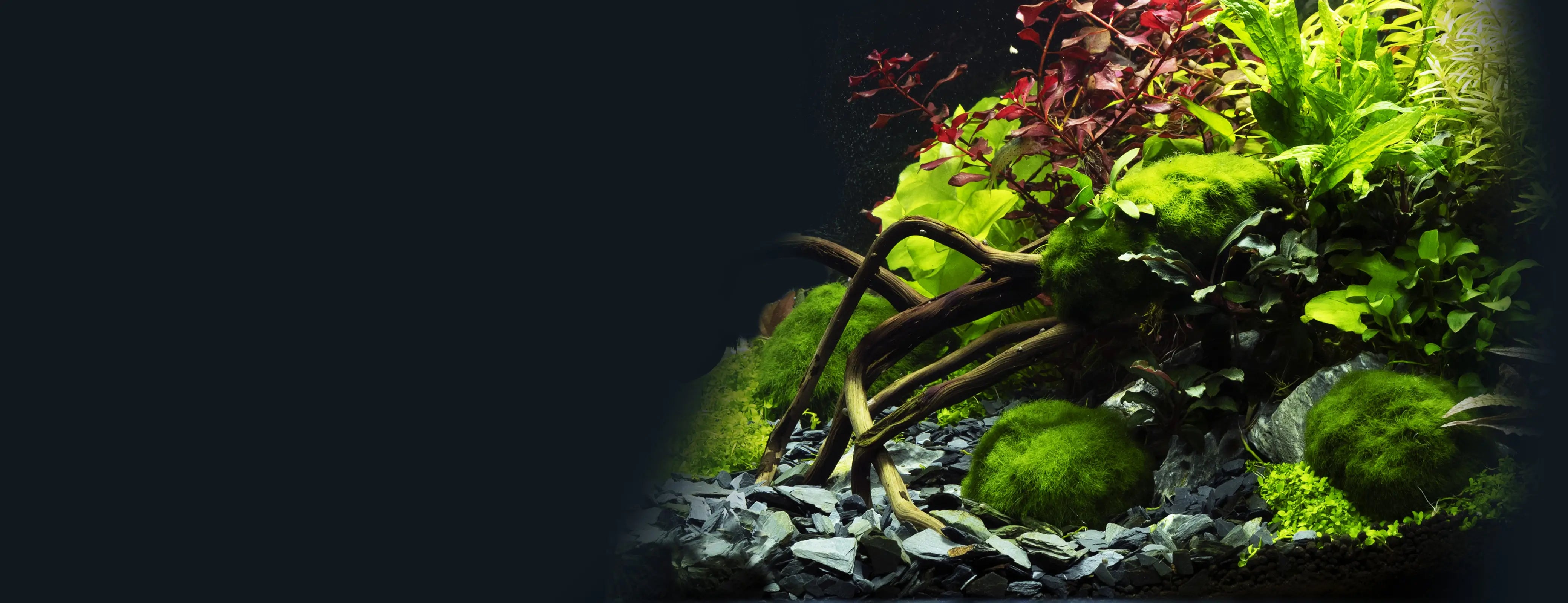 Aquarium Bodengrund