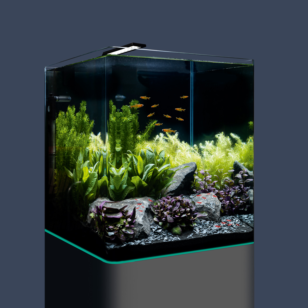 Aquarium DENNERLE Nano Cube Complete, 60 L , LED Beleuchtung Chihiros C 361  inkl. Innenfilter, Abdeckscheibe, Sicherheitsunterlage, Scaper's Back  Rückwandfolie, Einsteigerbroschüre , Nährboden, Kies und Thermometer -  HORNBACH Luxemburg