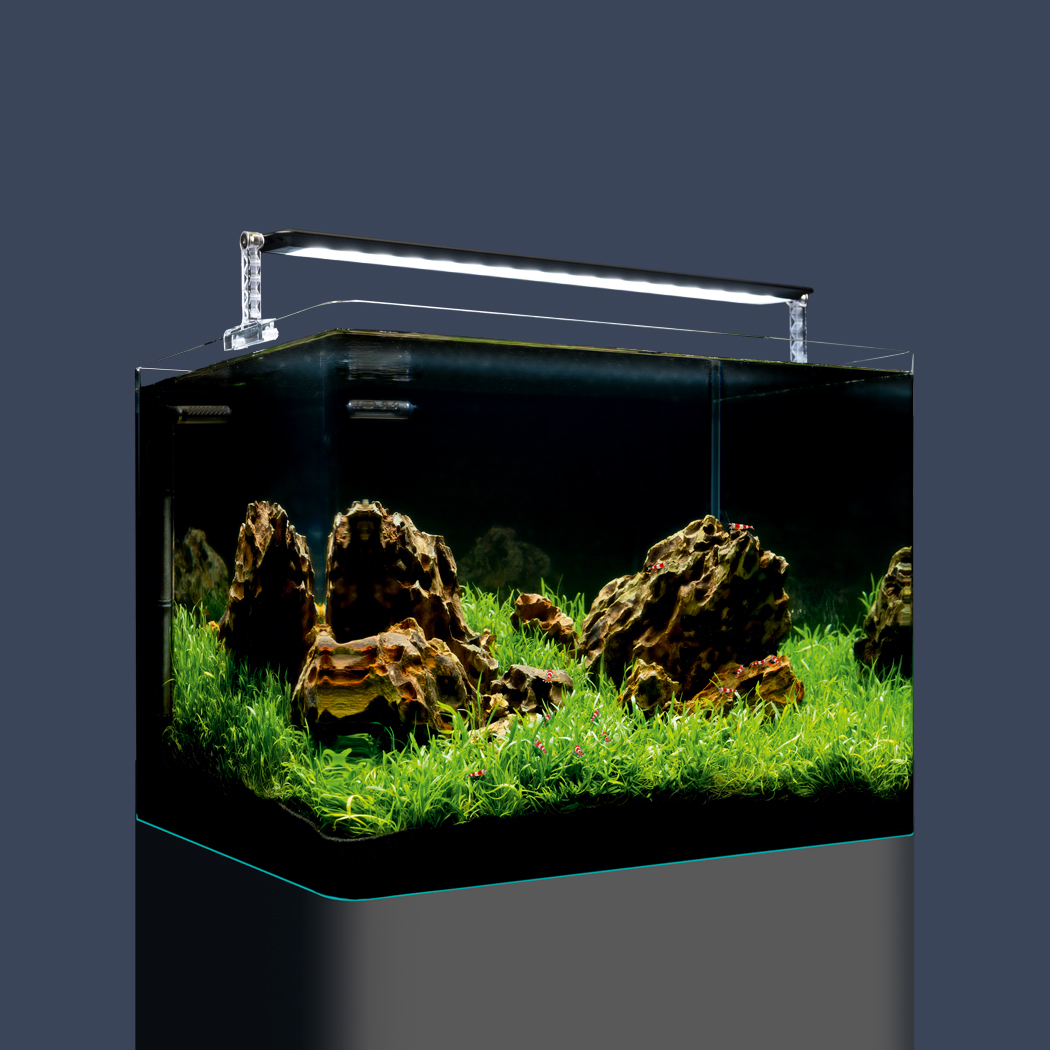 Dennerle Nano Cube 10L Aquarium