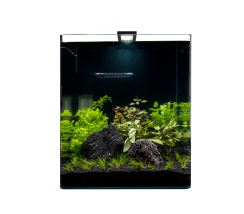 Dennerle nano cube basic led 60 litres (NOUVEAU) - Brussels Aquariums