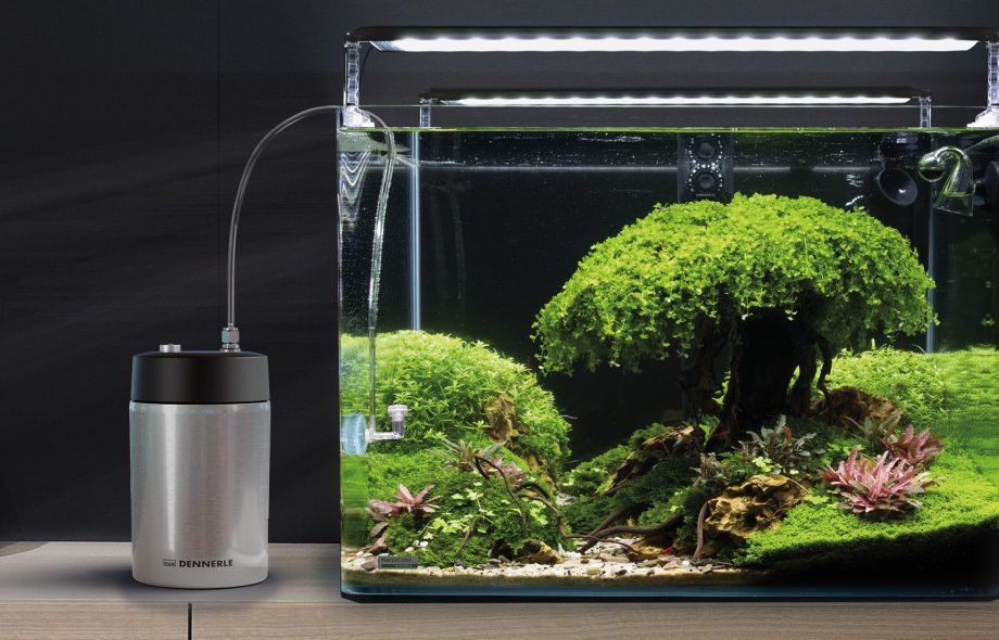 Lampe Dennerle pour aquarium