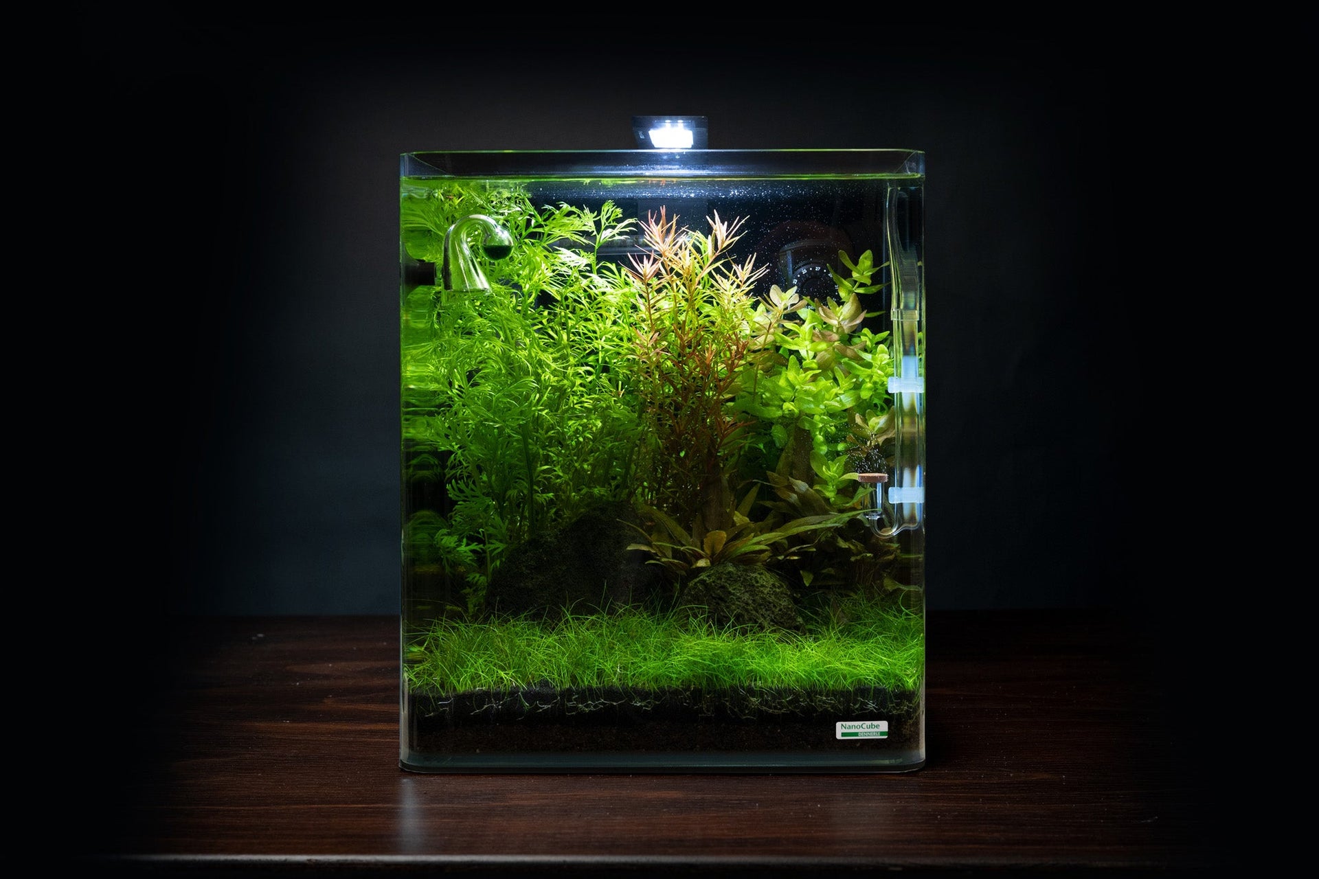 organischer dünger grow Hesi Bio Grow