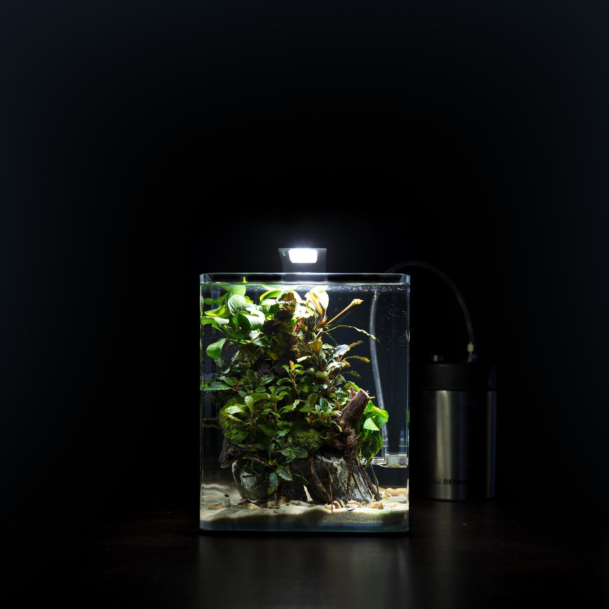 Nano Jungle