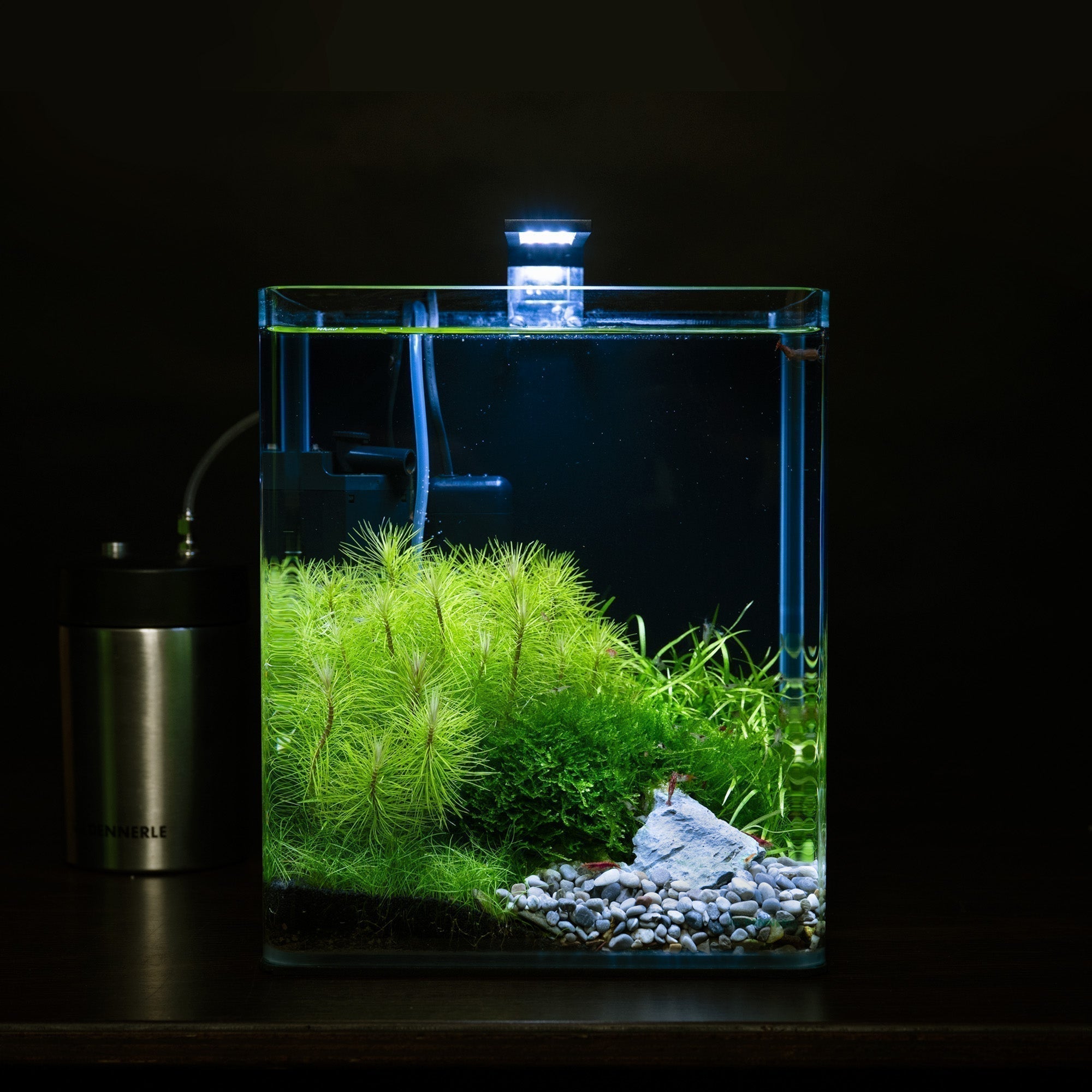In-Vitro für Einsteiger