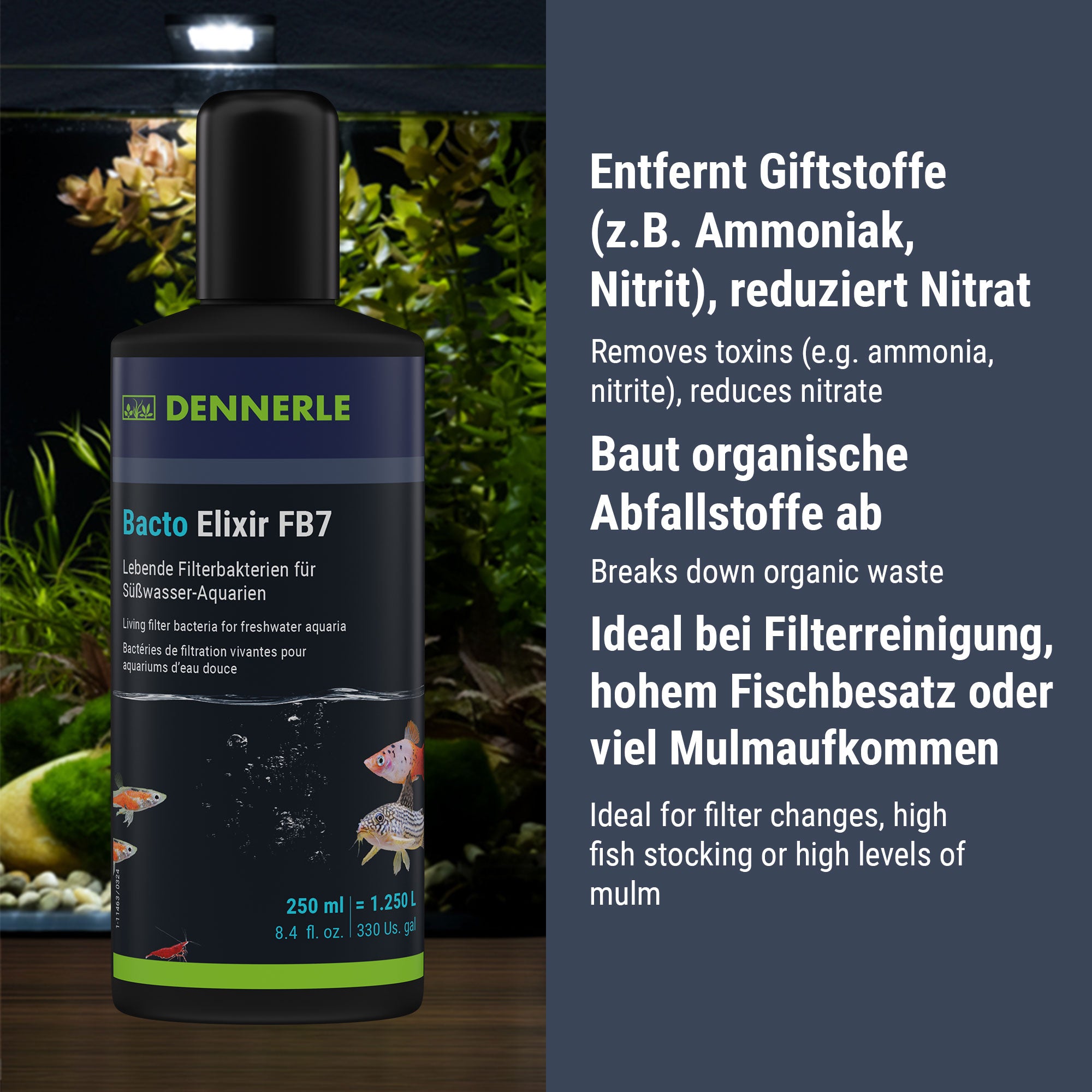 Dennerle Bacto Elixir FB7