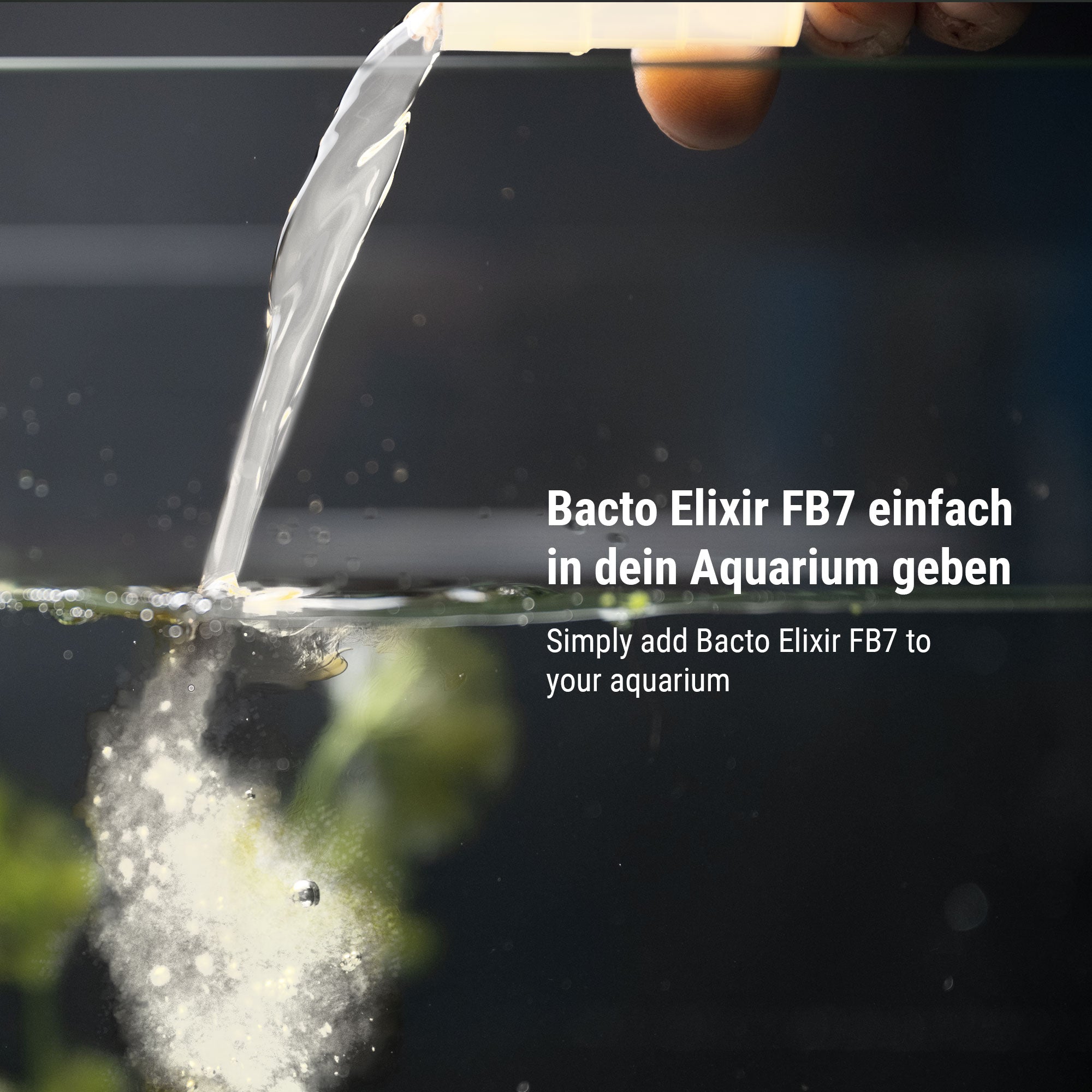 Dennerle Bacto Elixir FB7