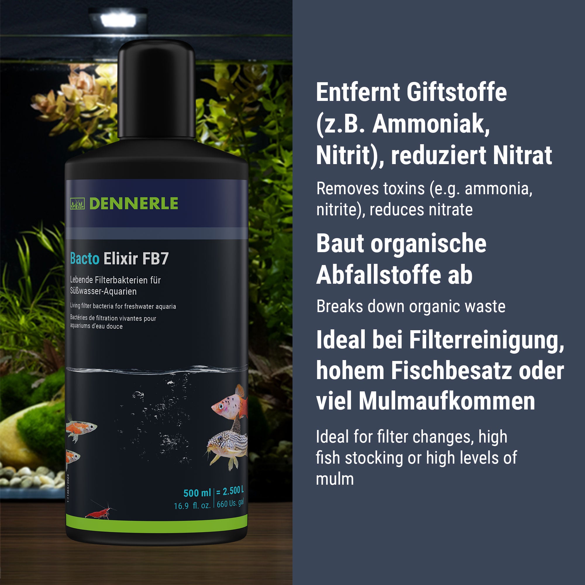 Dennerle Bacto Elixir FB7