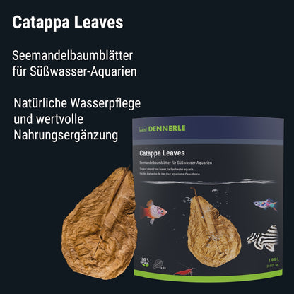 Dennerle Catappa Leaves#de:grosse_regular