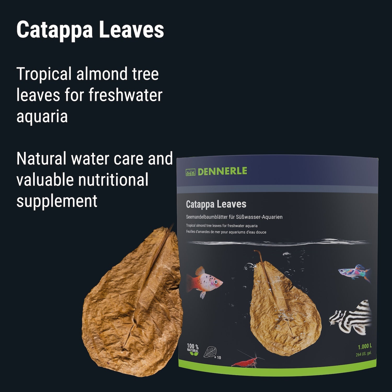 Dennerle Catappa Leaves#en:size_regular