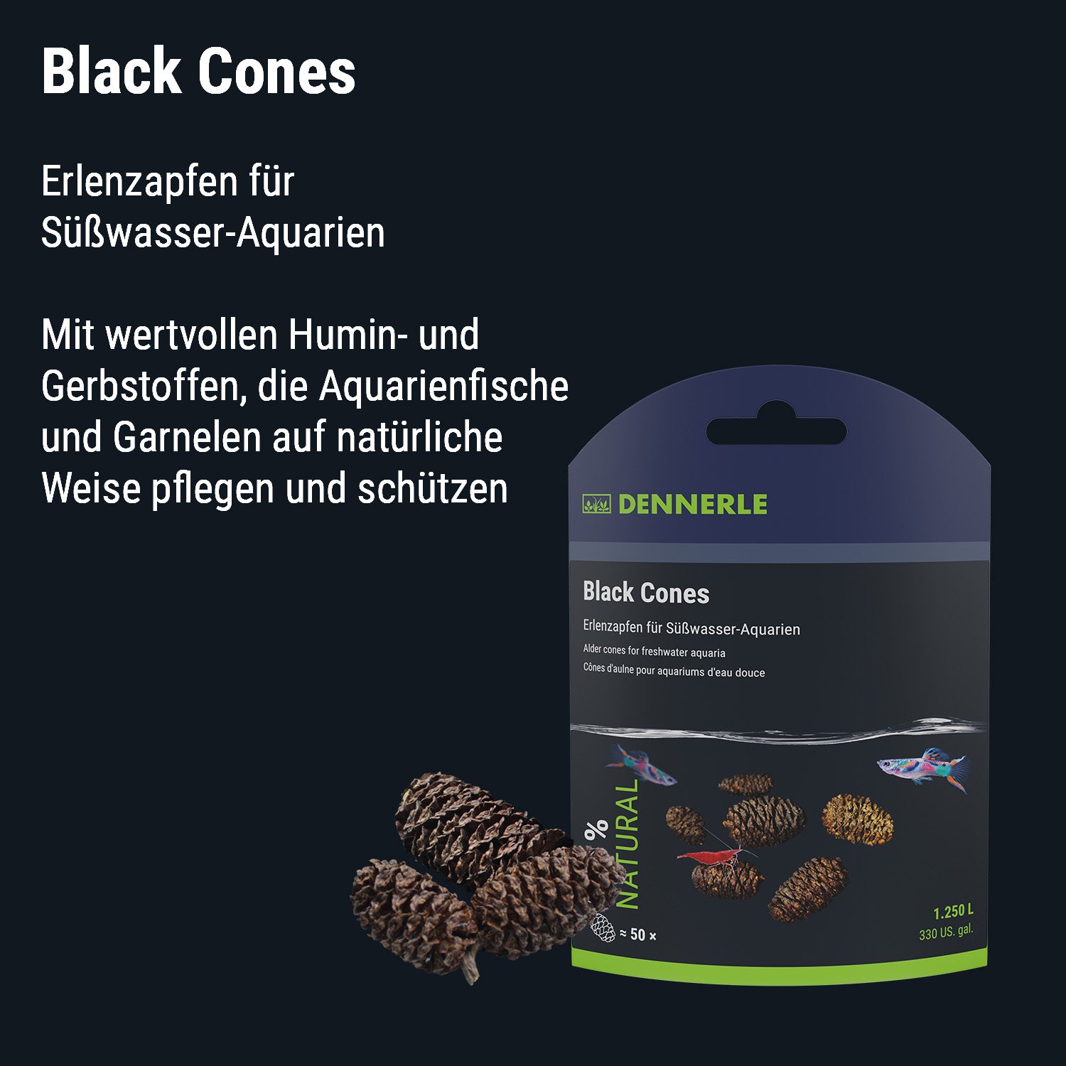 Black Cones