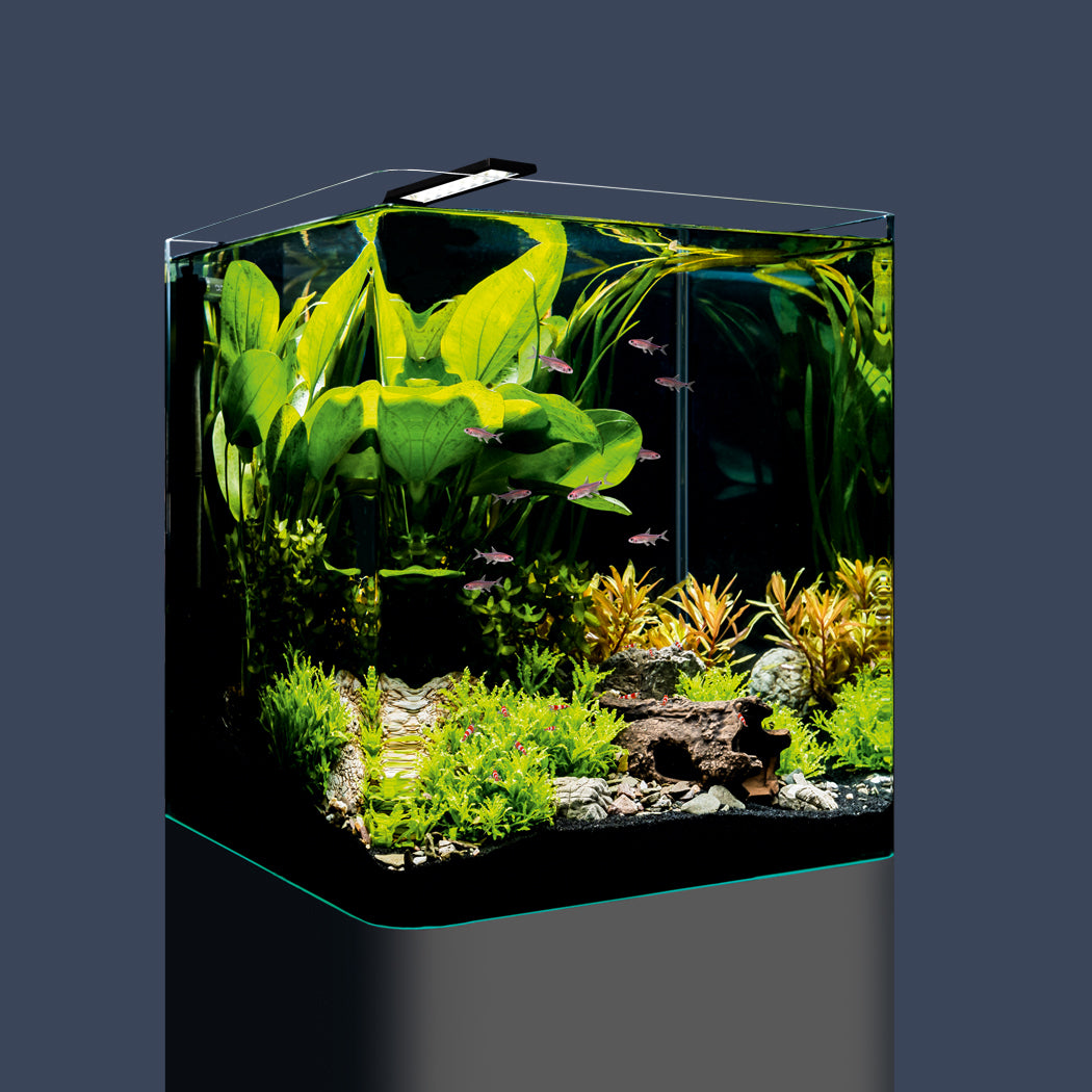 Nano Cube Mini-Aquarium Set 30L. Ideal good als Weihnachtsgeschenk