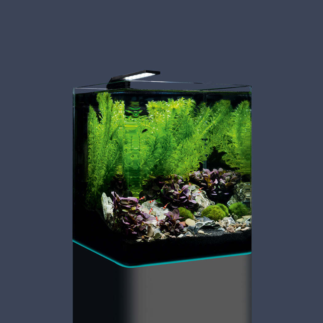 Dennerle Nano Cube Complete Mini Aquarium Complete Set