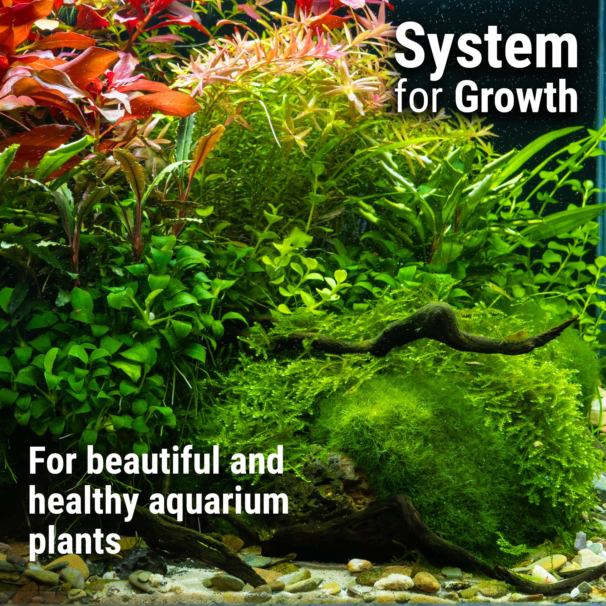 #en:Plant System Set Nano