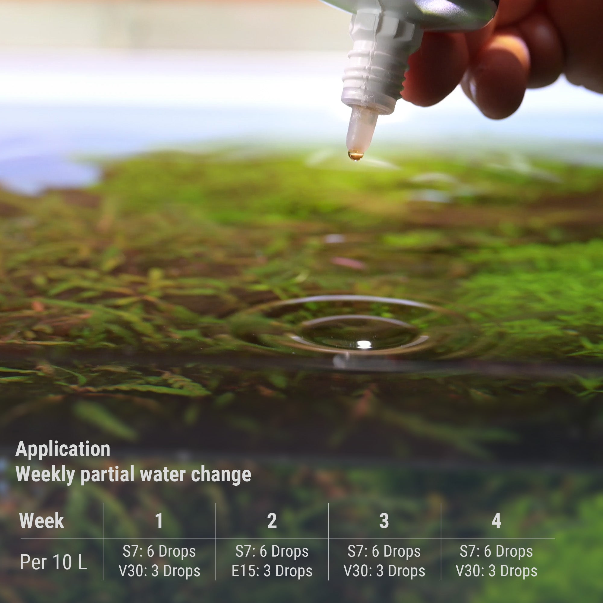 #en:Plant System Set Nano