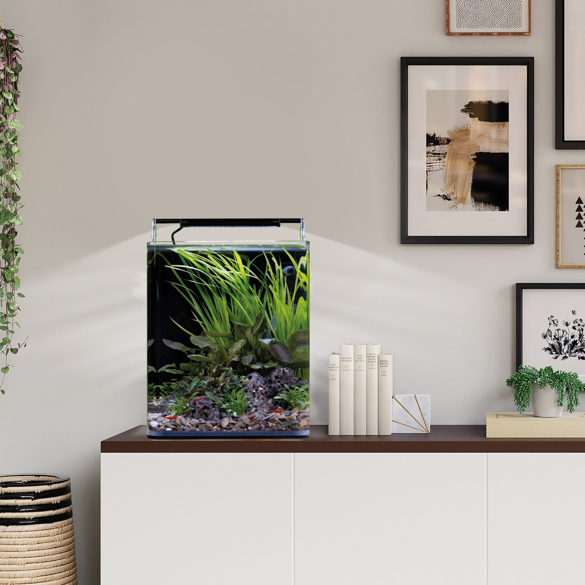 Nano Cube Basic - Mini aquarium technology set with LED and filter
