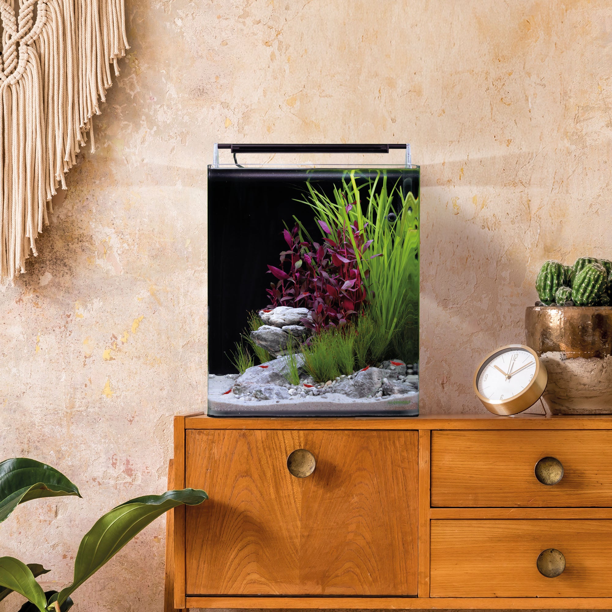 Dennerle Nano Cube Basic