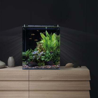 Dennerle Nano Cube Basic