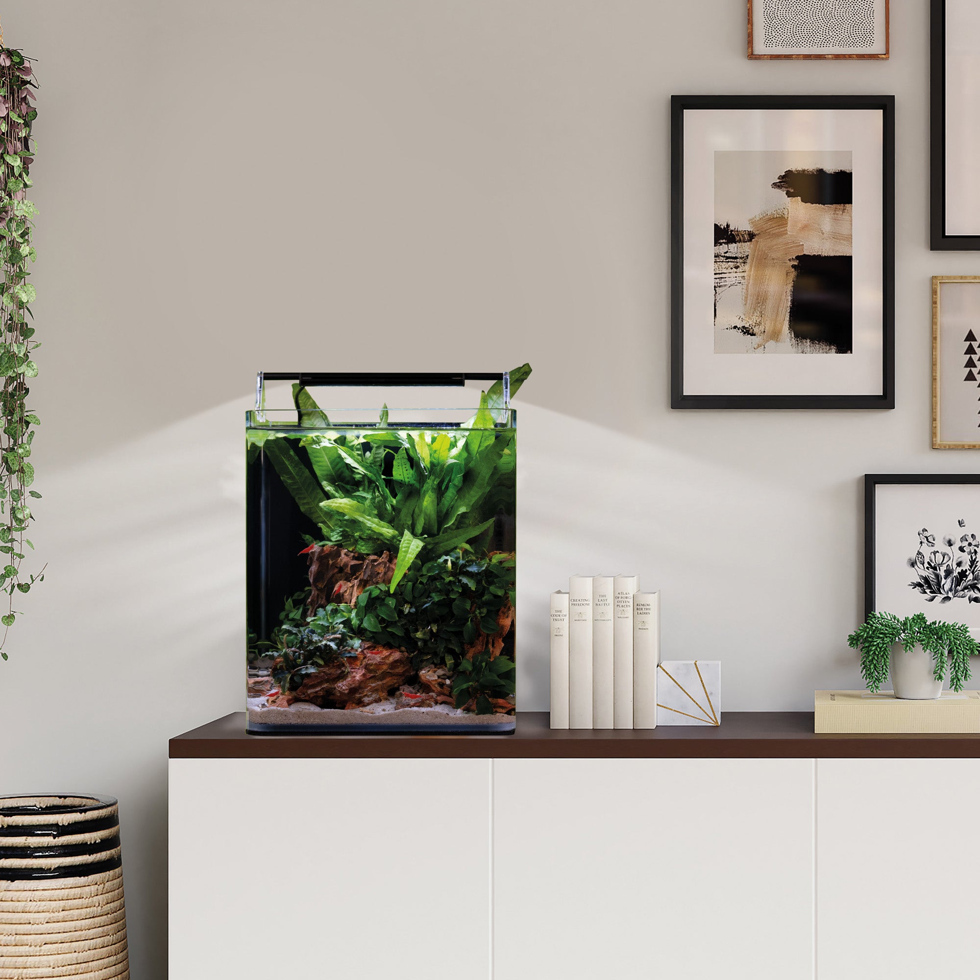 Dennerle Nano Cube Complete