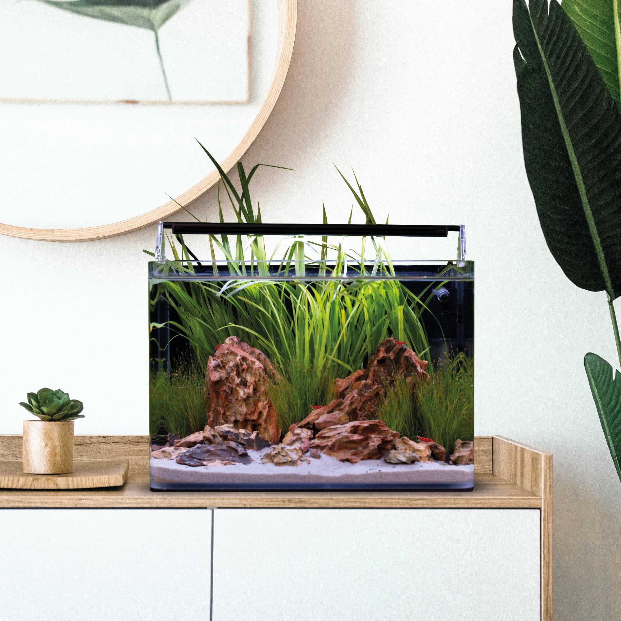 Nano Tank Basic - Mini aquarium technical set with filter and LED