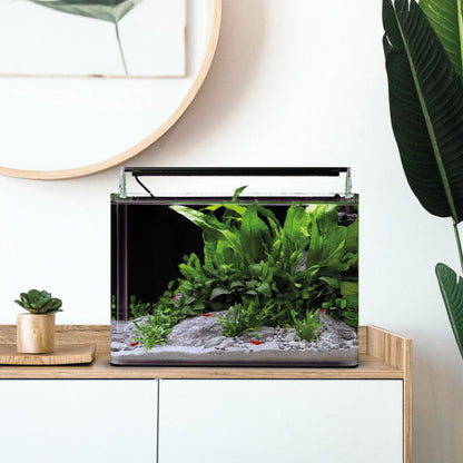 Dennerle Nano Tank Complete