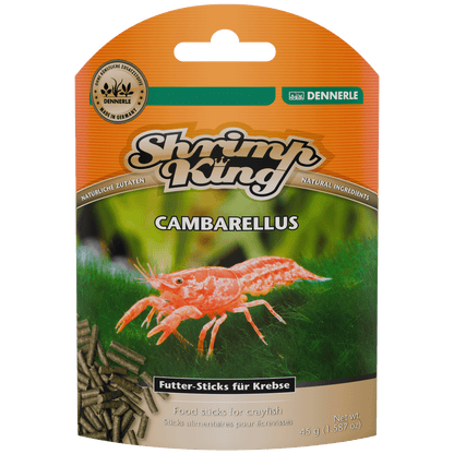 Shrimp King Cambarellus