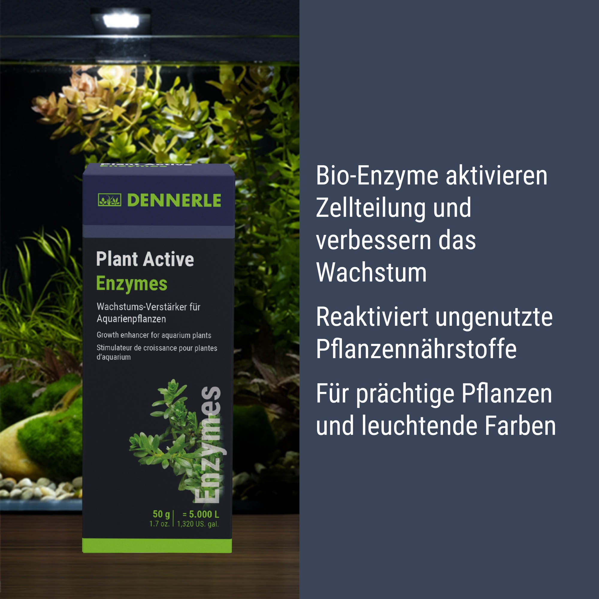 Plant Active Enzymes #DE:grosse_all