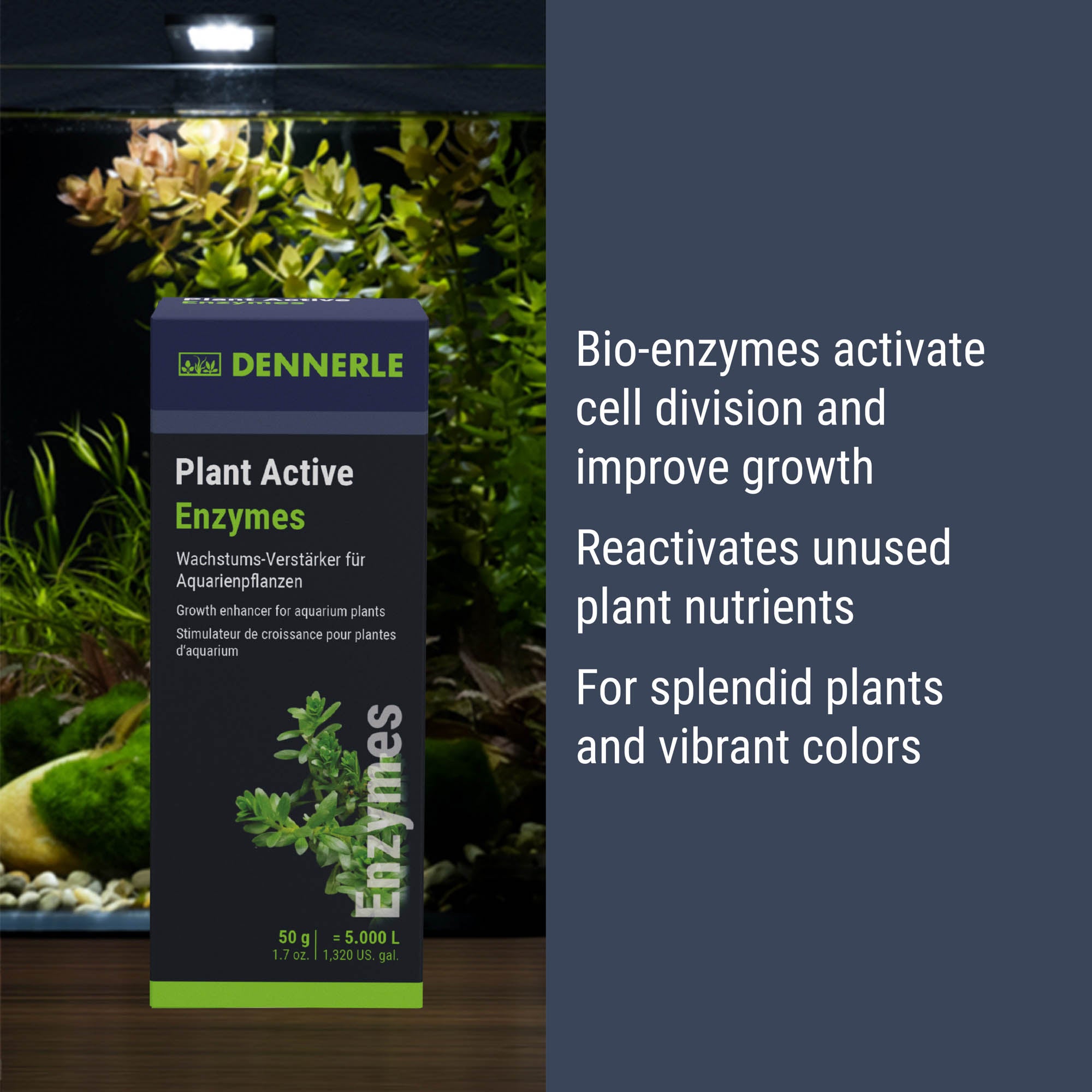 Plant Active Enzymes #EN:grosse_all