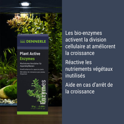 Plant Active Enzymes #FR:grosse_all